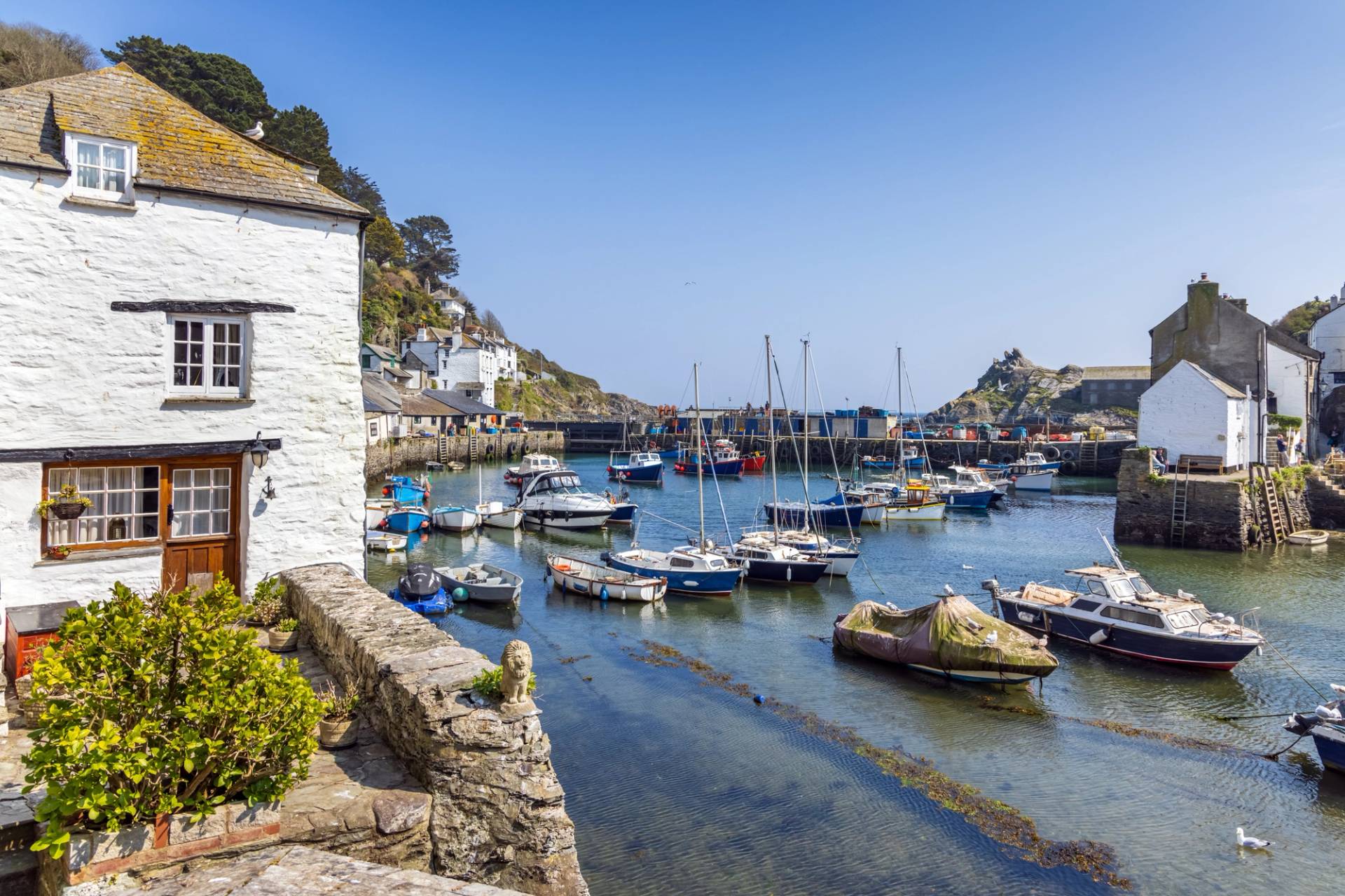 polperro