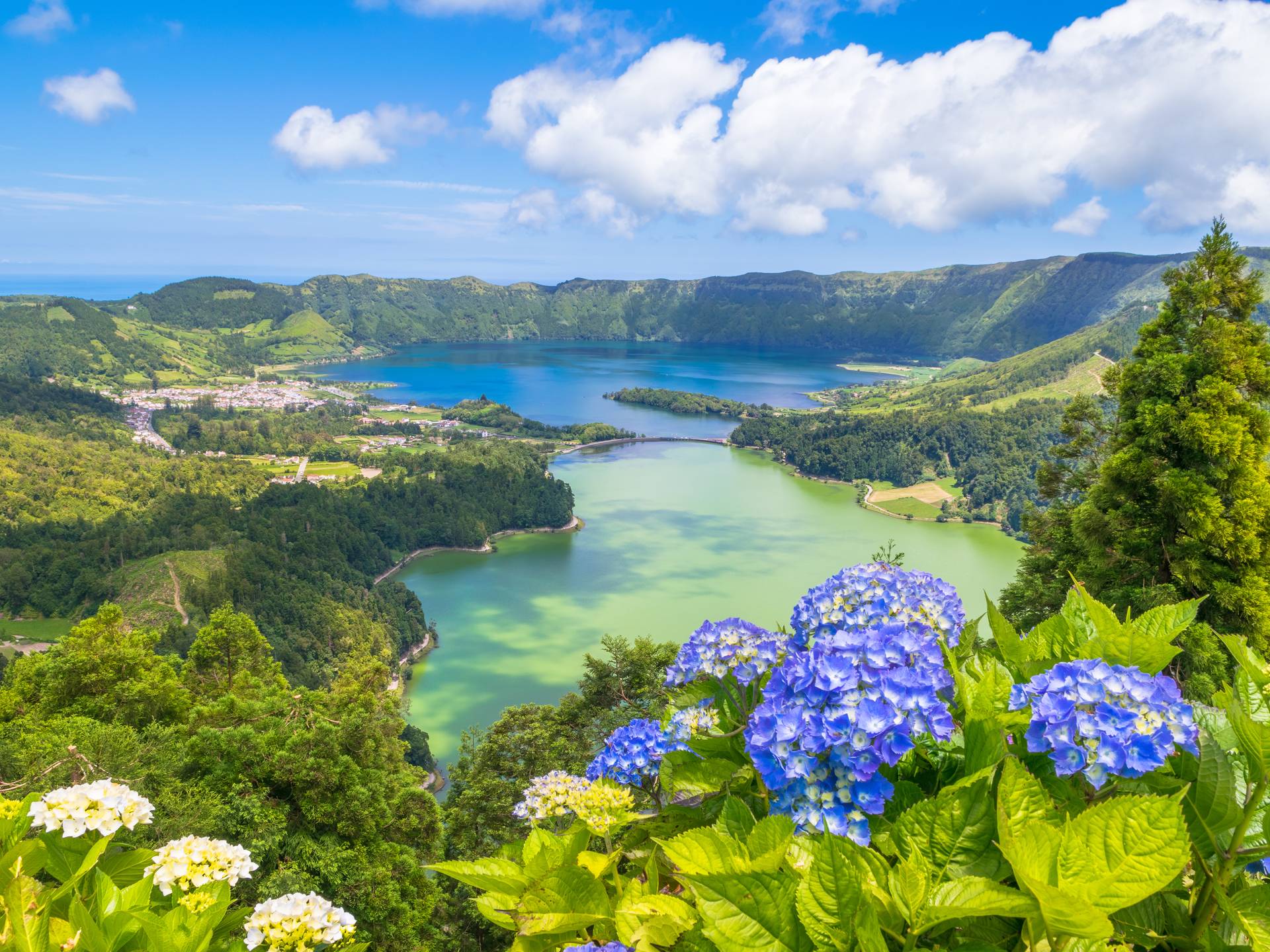 Discovering the Azores Islands cover