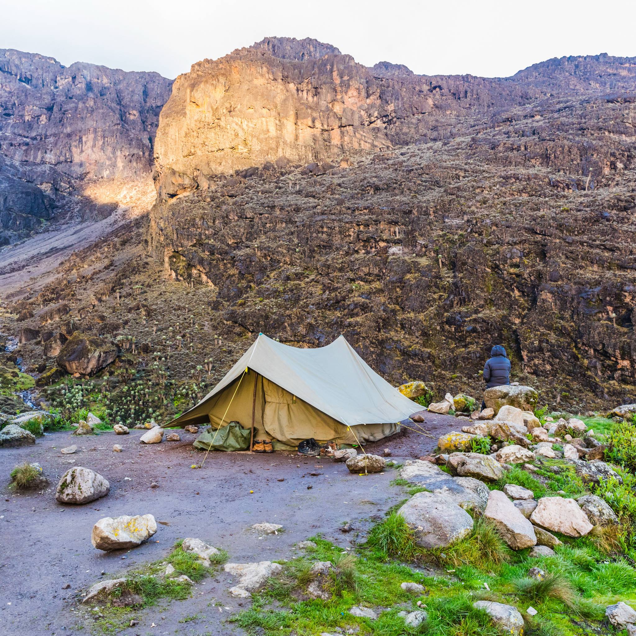 Trekking sul Kilimanjaro