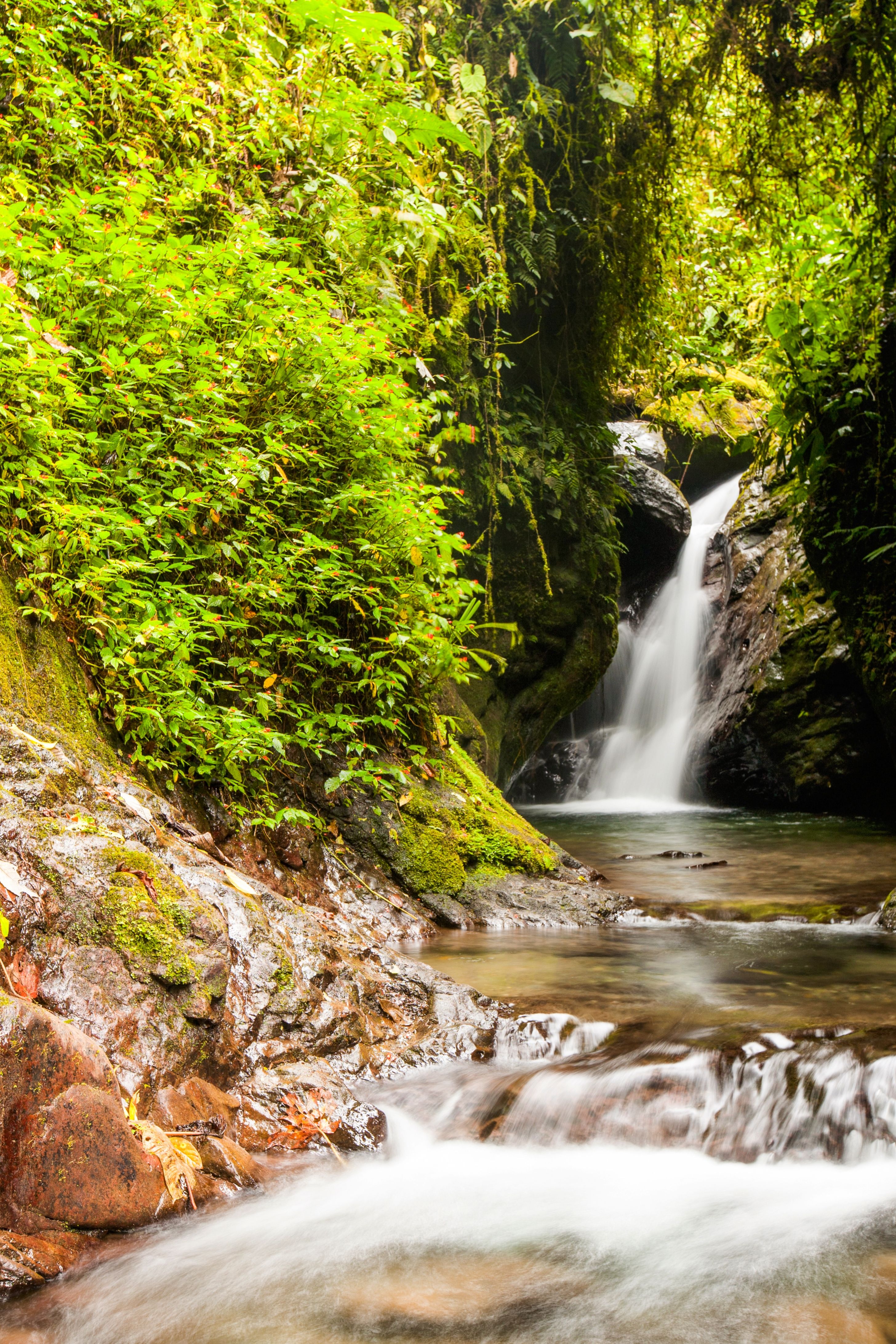 cascata nella foresta amazzonica