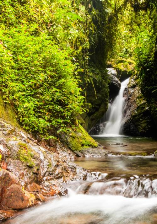 cascata nella foresta amazzonica