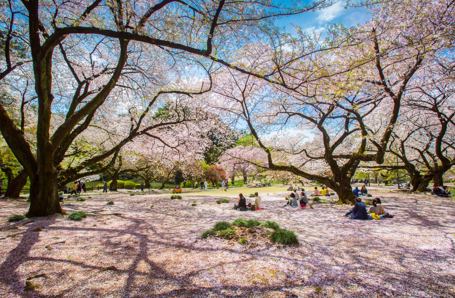 parco ueno a tokyo