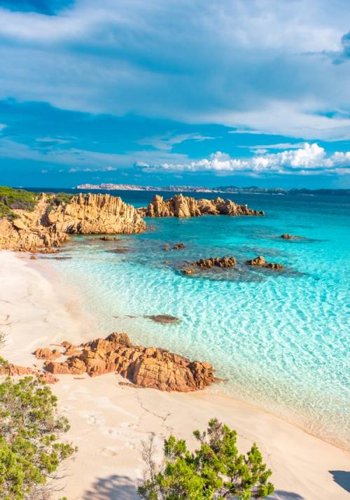 spiaggia rosa la maddalena