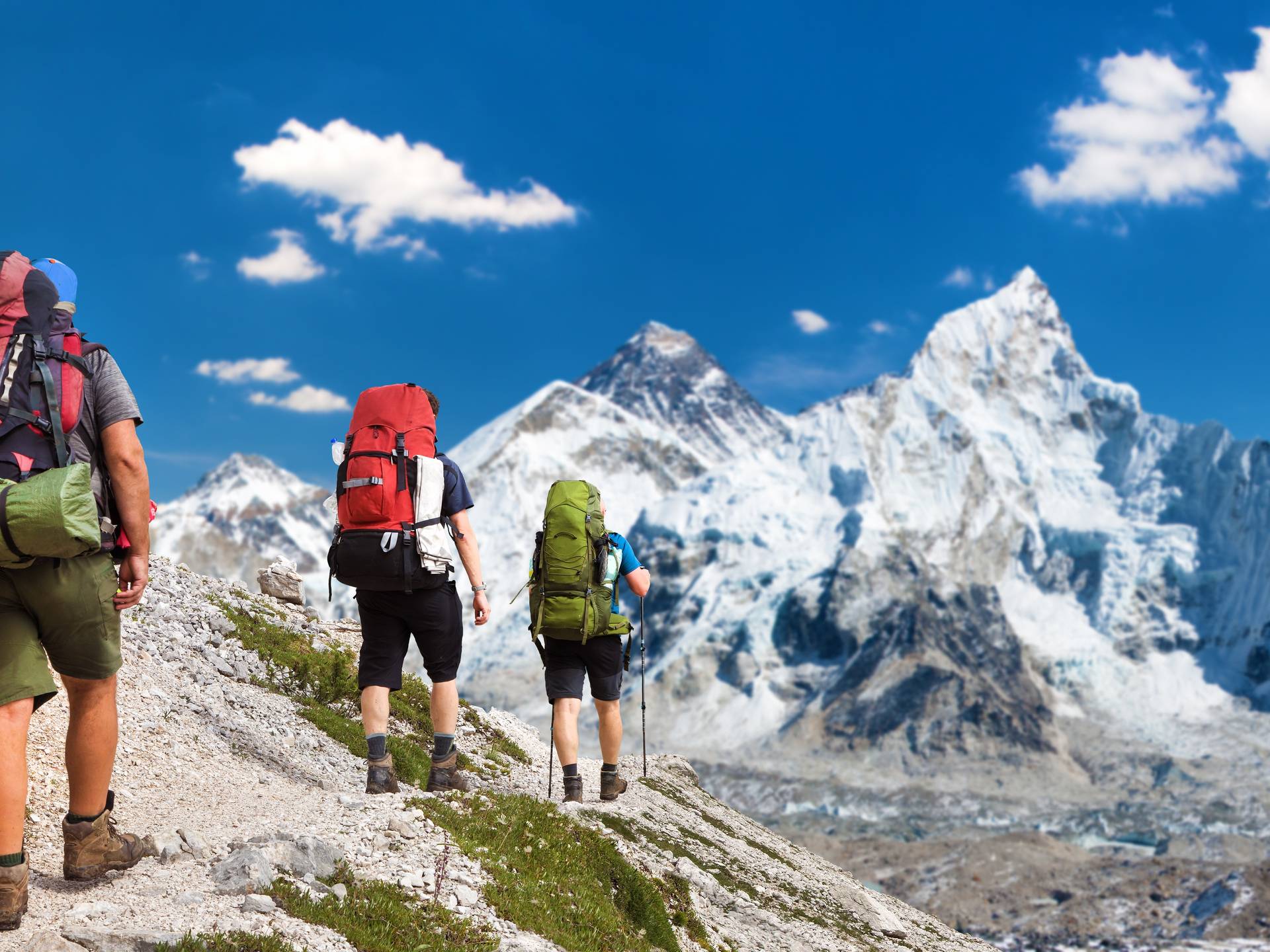 Trekking on Mount Everest cover