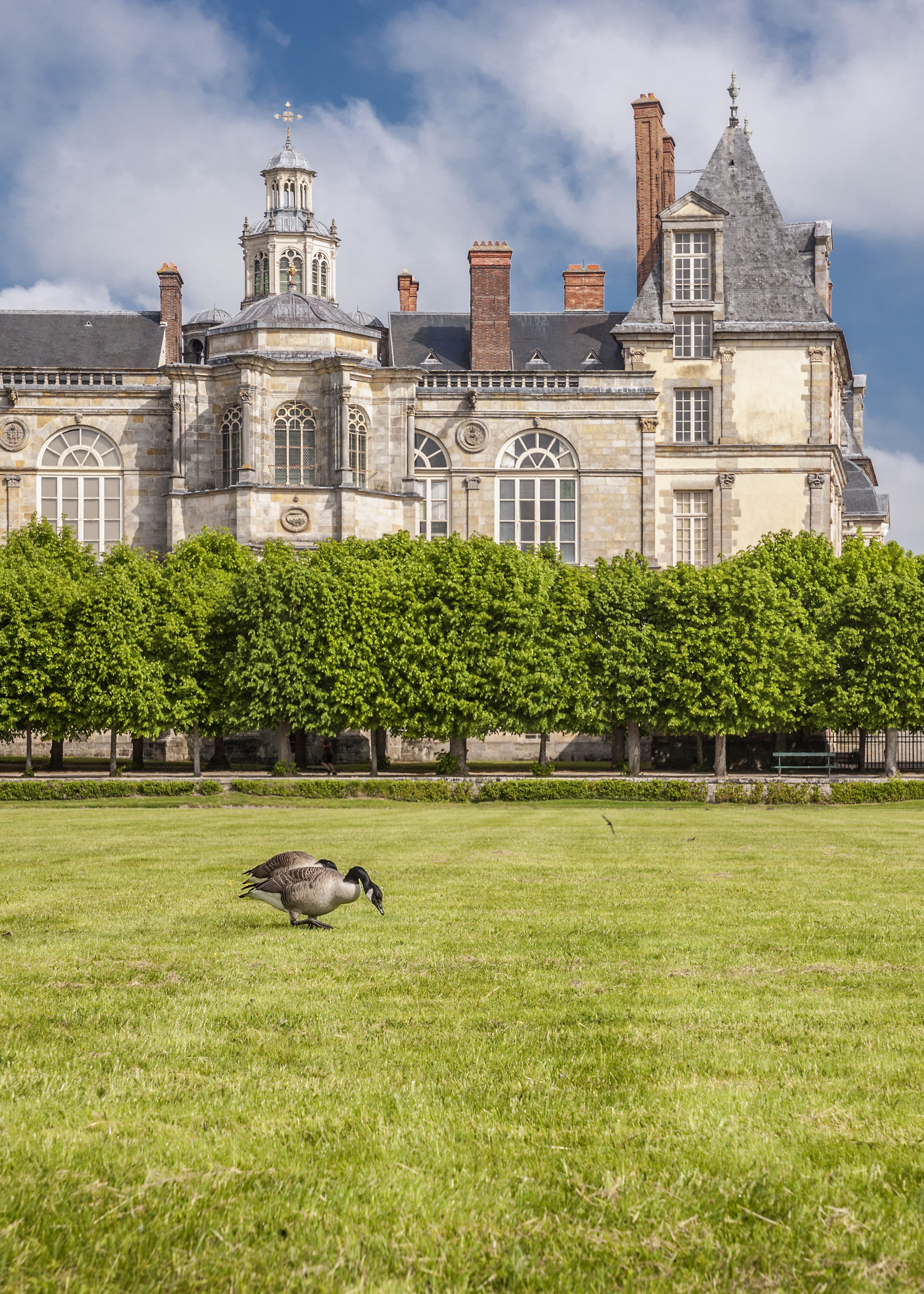 castello di fontainebleau