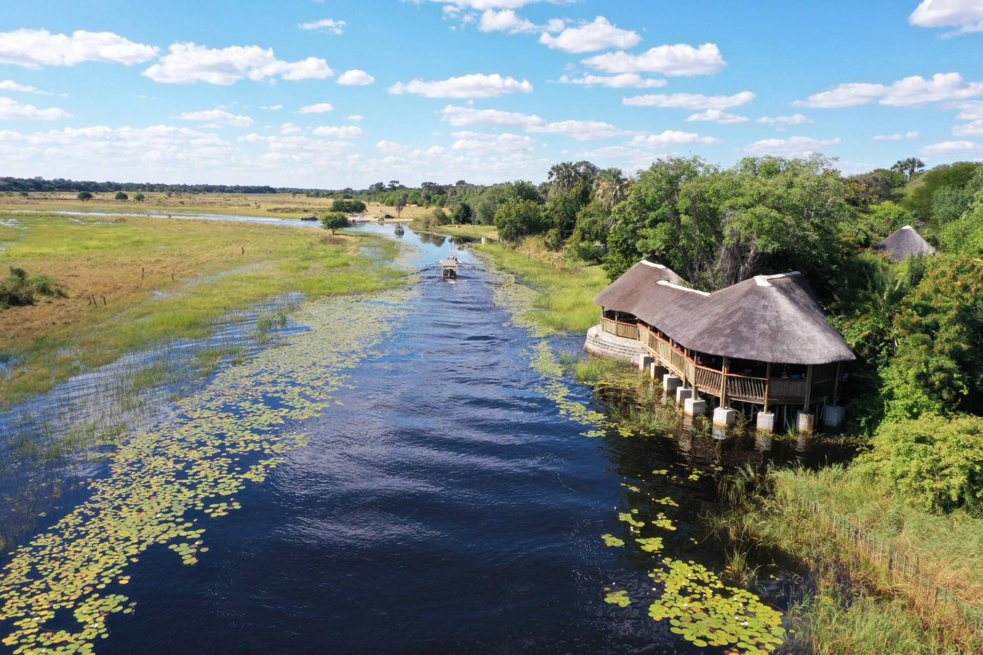 nature maun