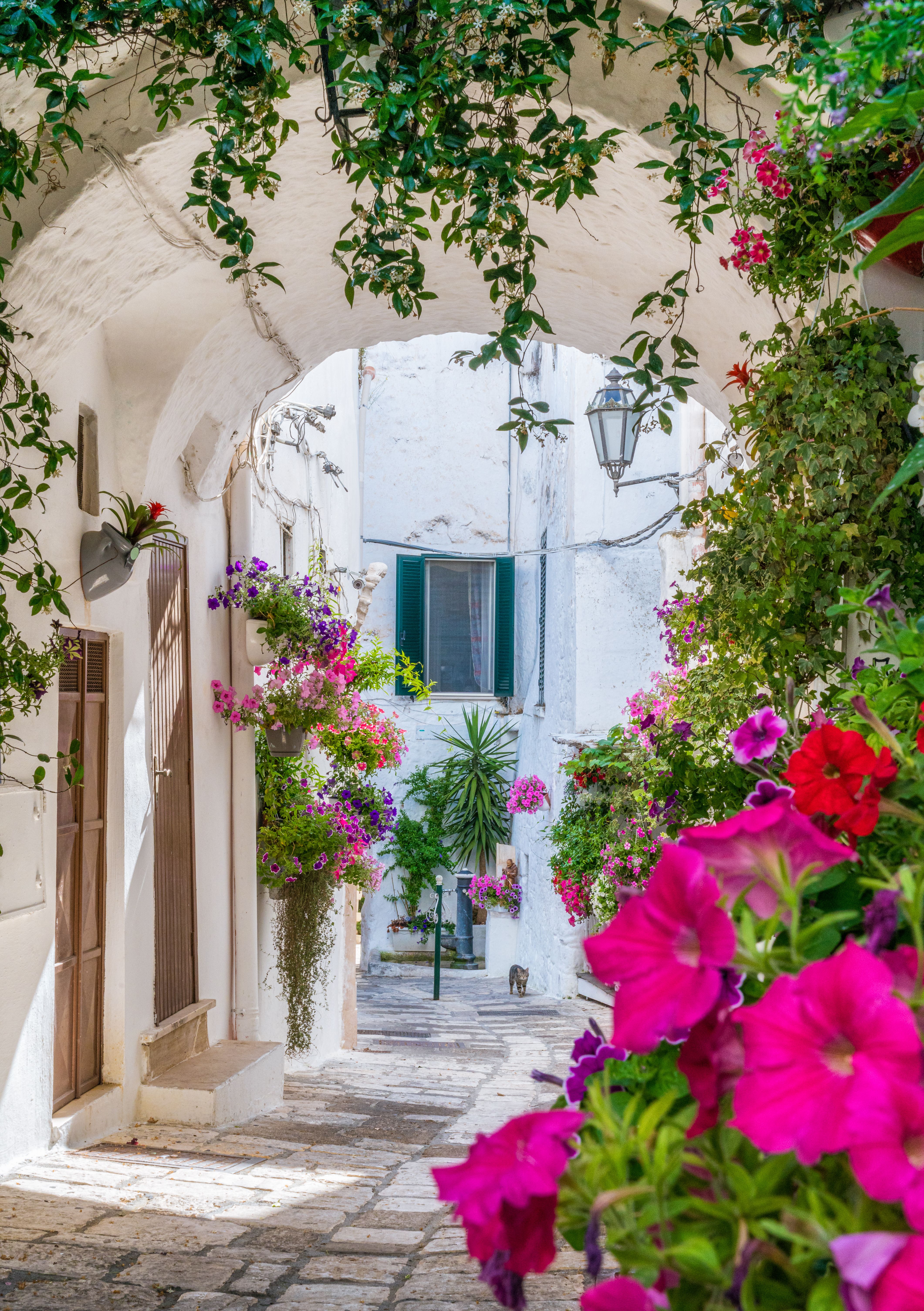 ostuni streetview