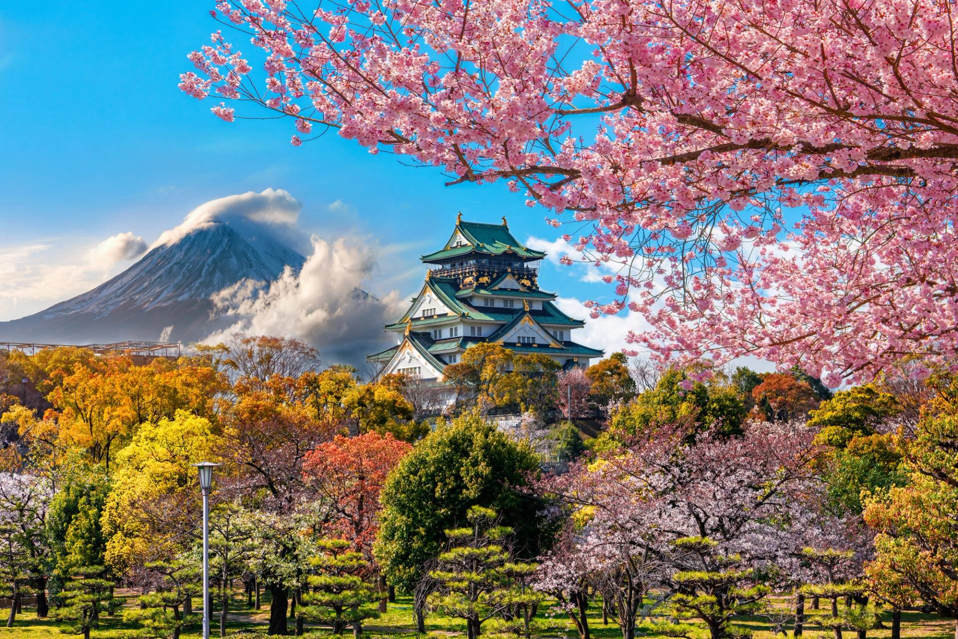 castello kanazawa tra gli alberi