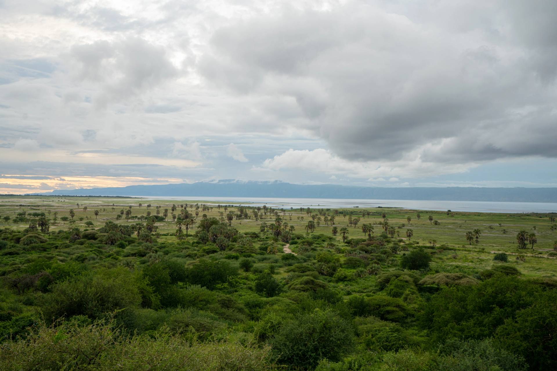 lago eyasi