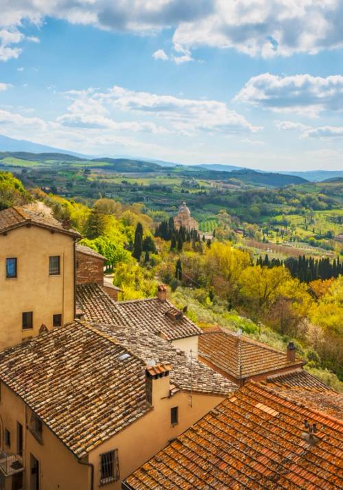 vineyards montepulciano