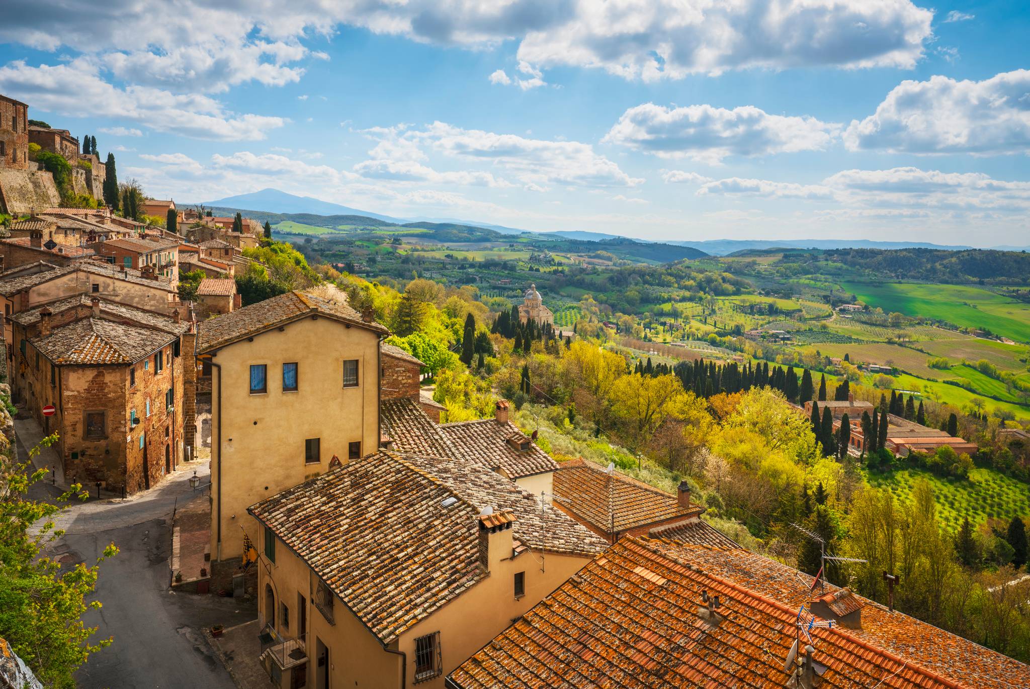 vineyards in montepulciano