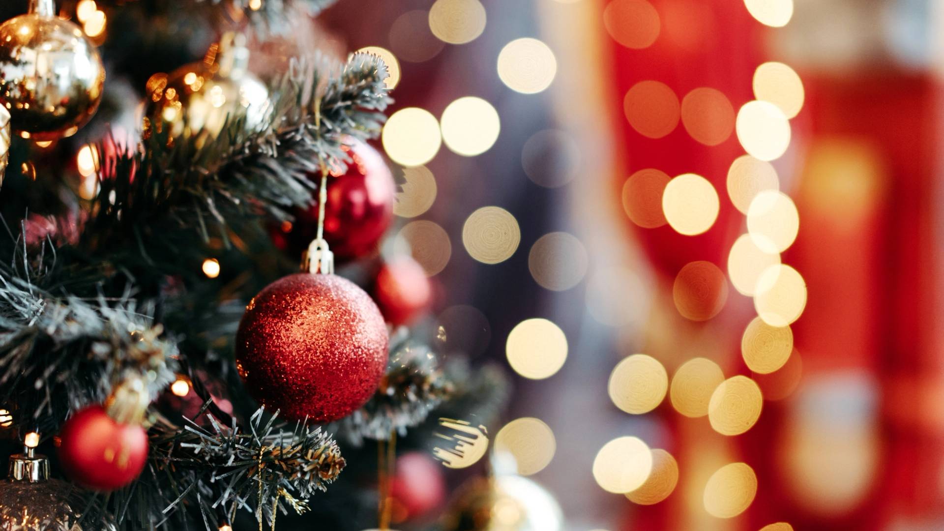 organized vacations in December