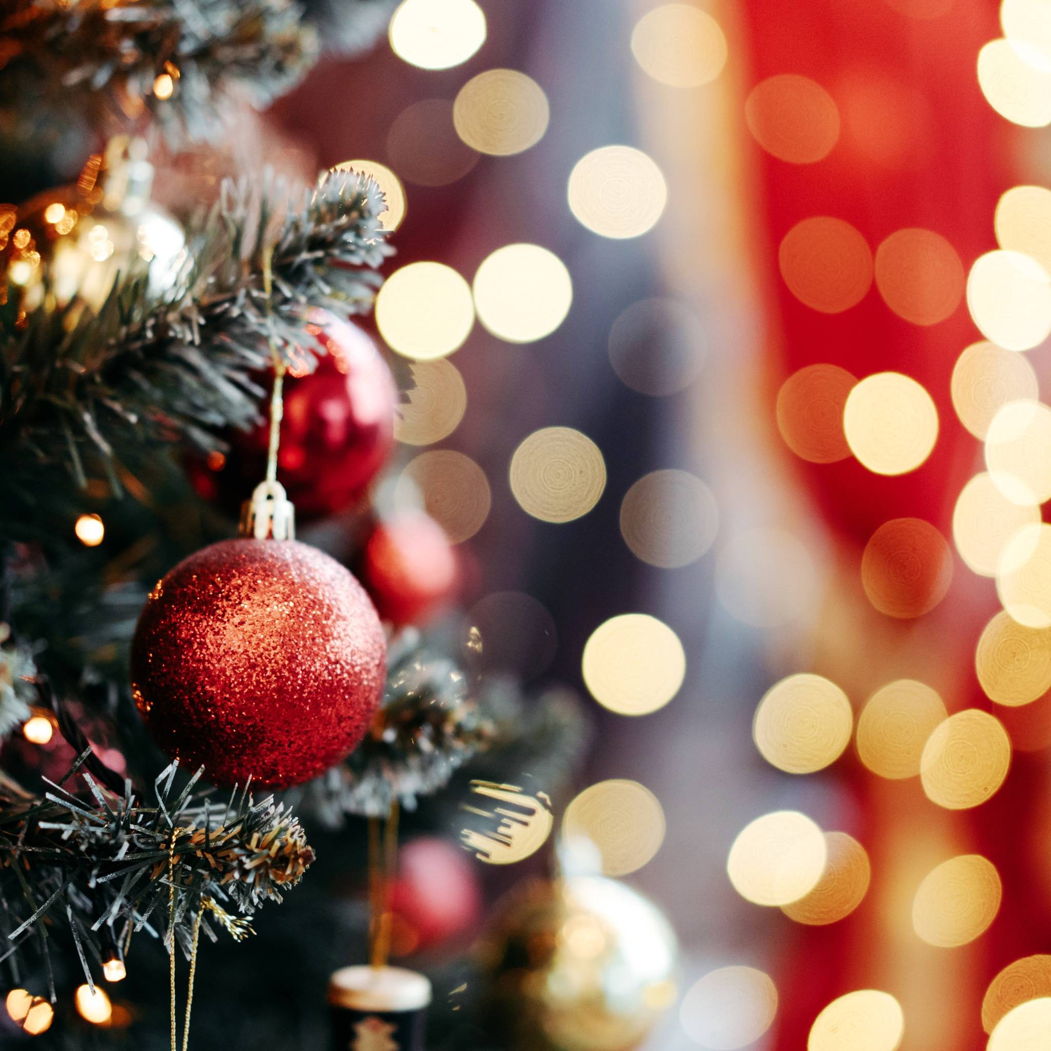 albero di natale