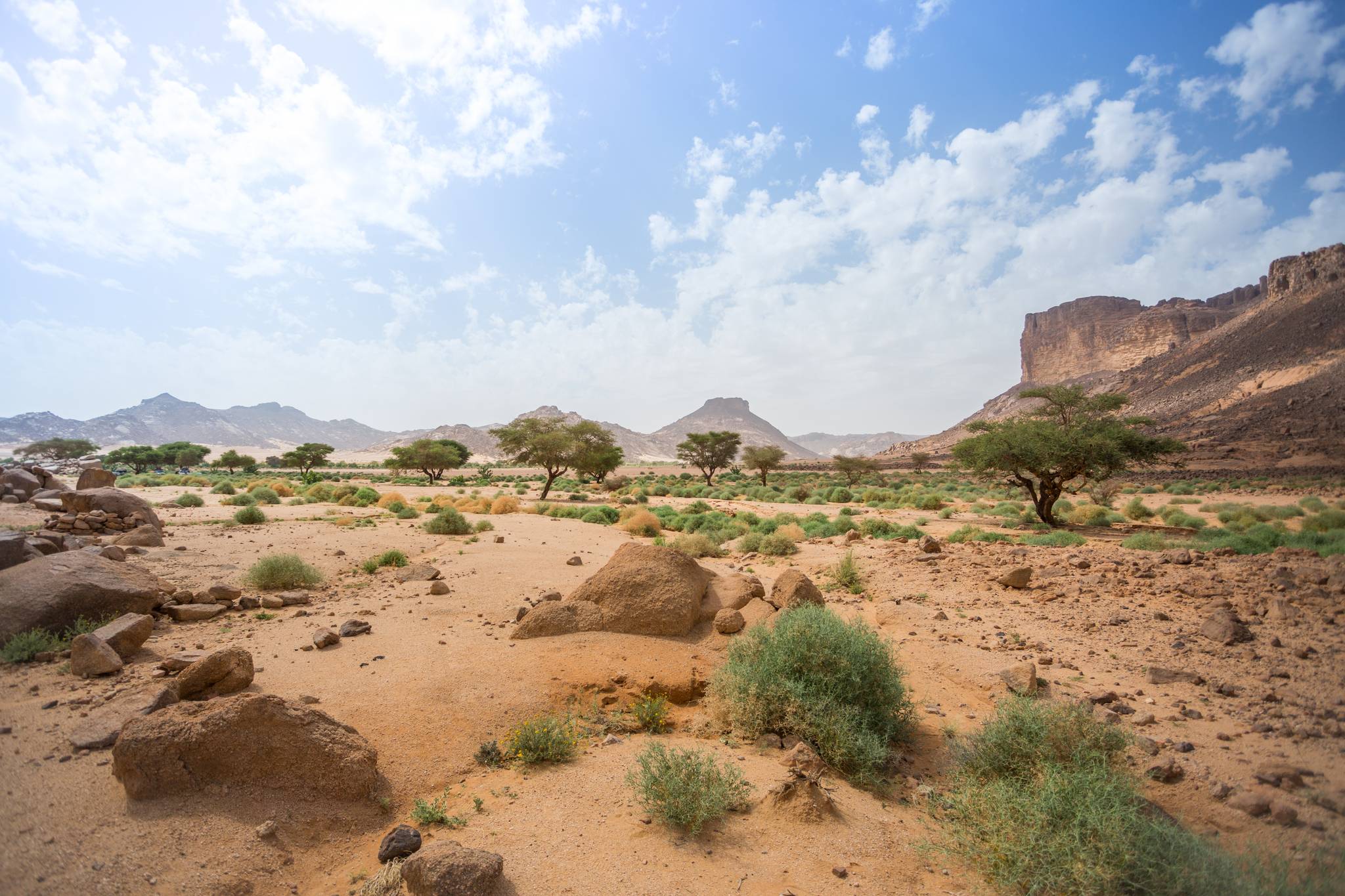 deserto djanet