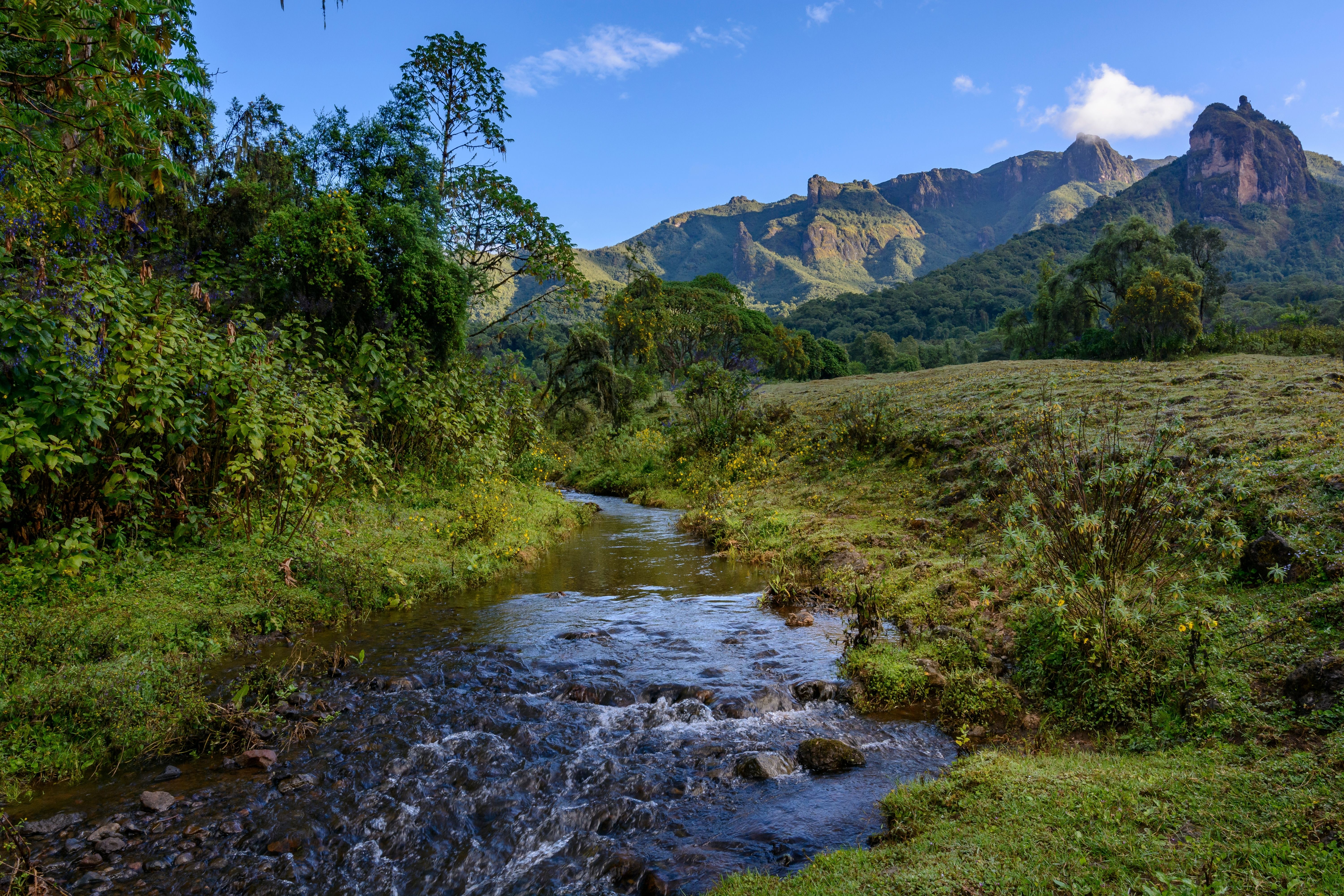 bale mountains