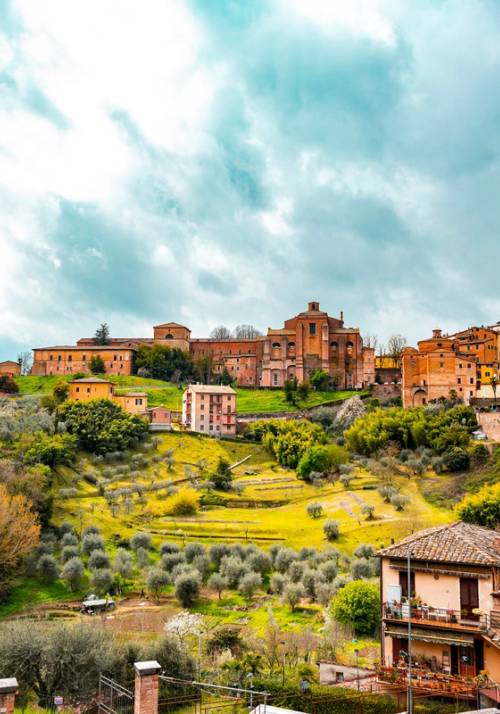 hills and city of siena