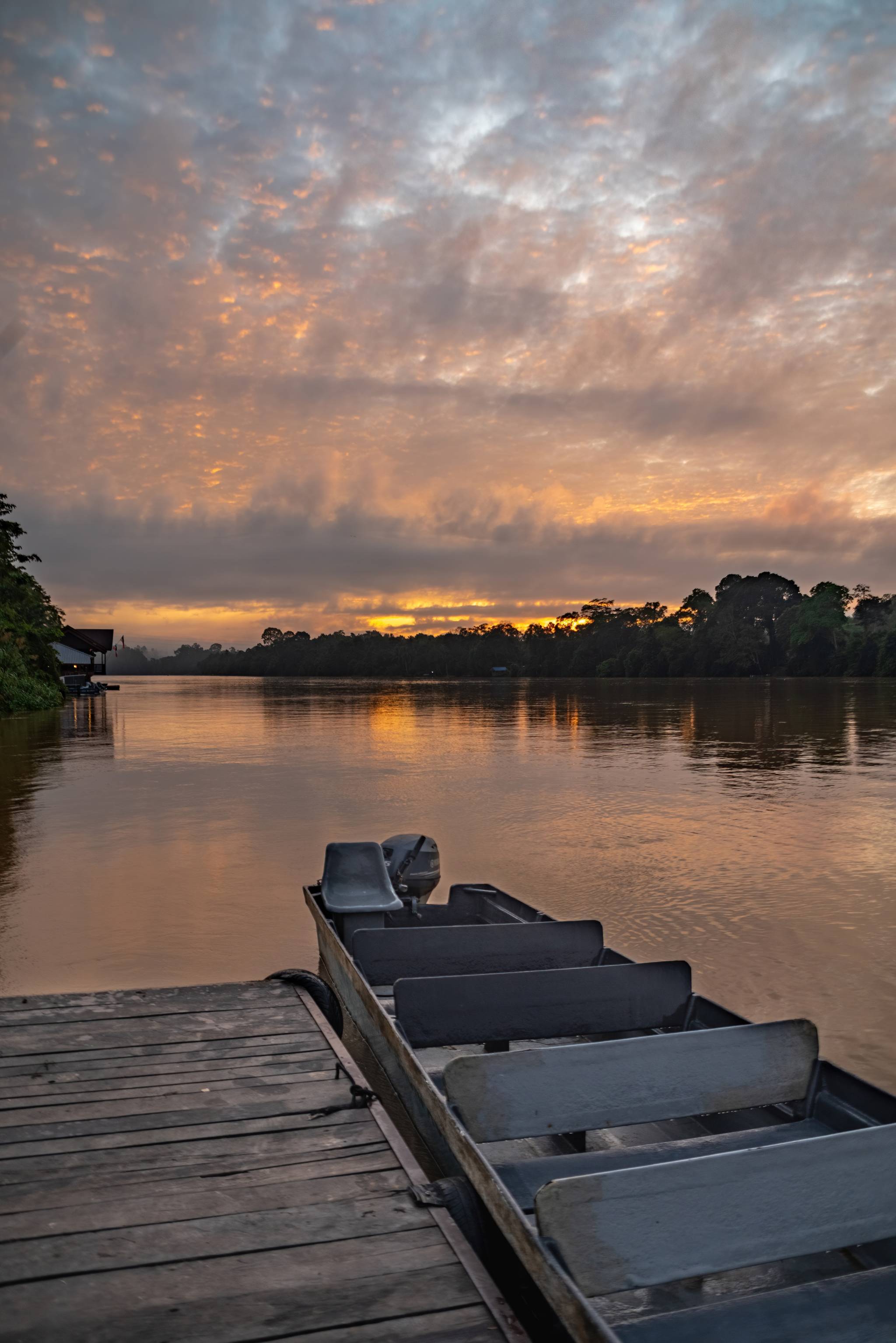 fiume kinabatangan