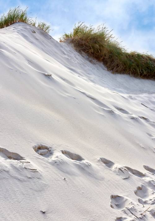 desert in Denmark