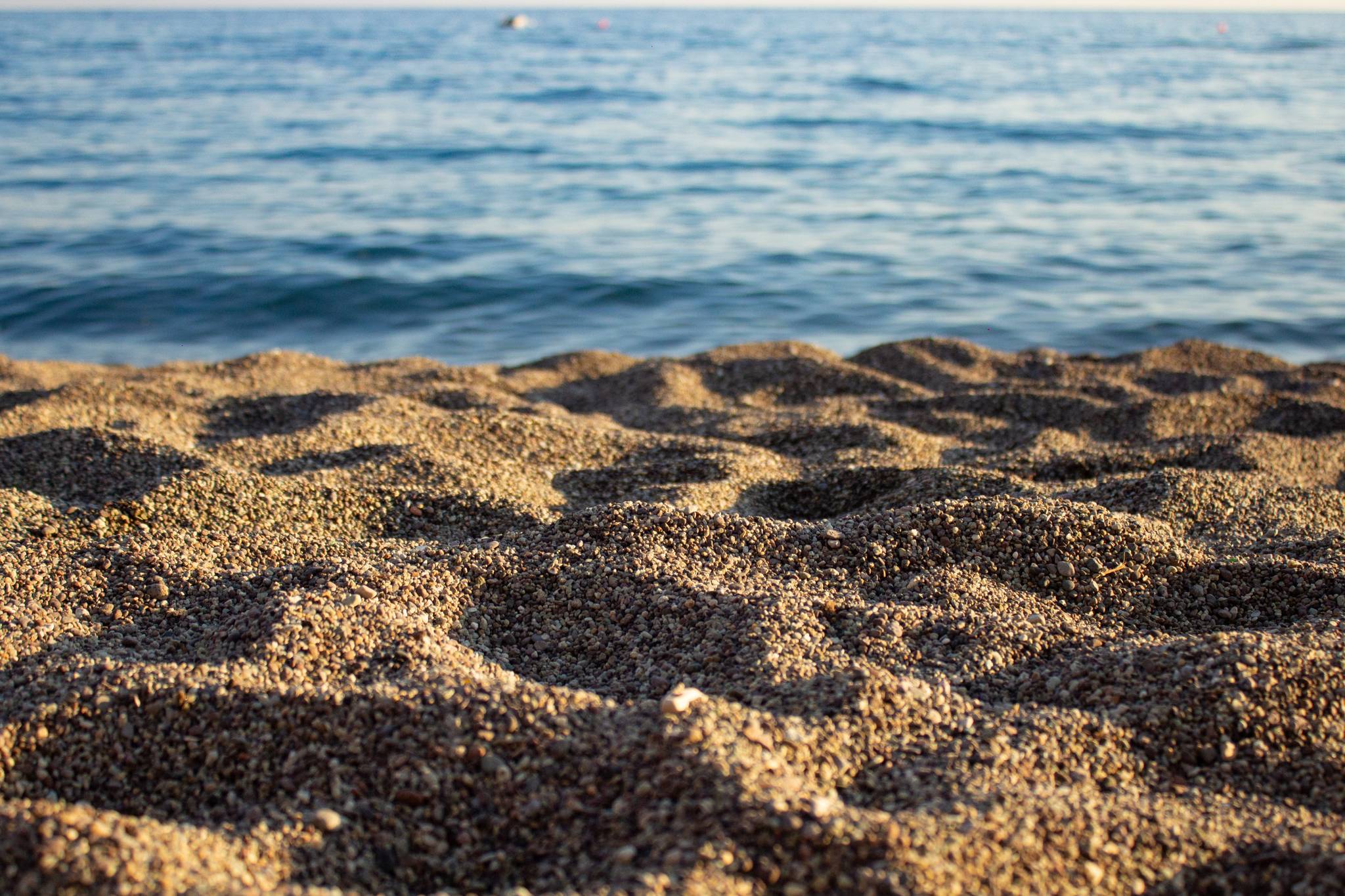 spiaggia vulcanica dei maronti a ischia