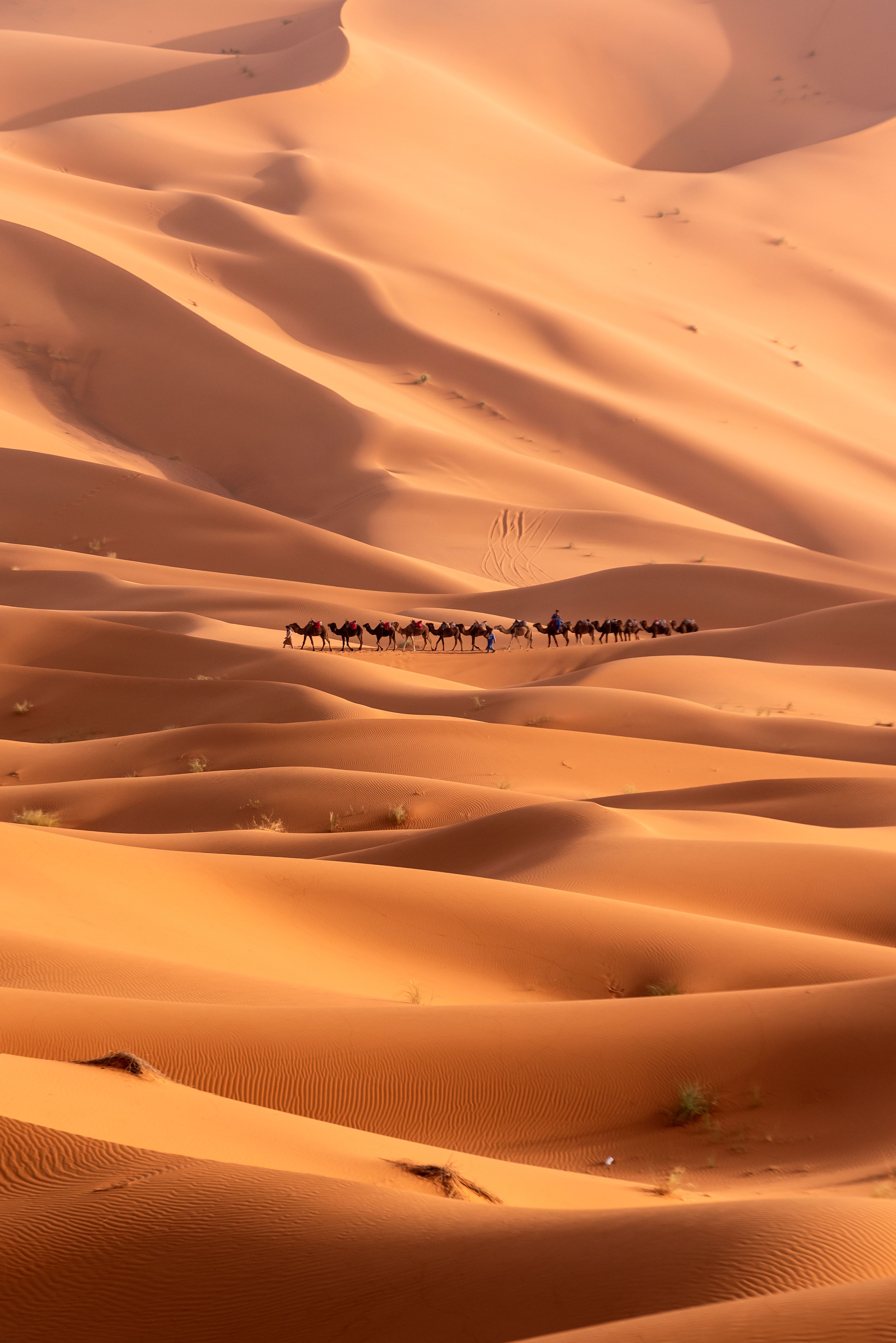 Sahara Desert