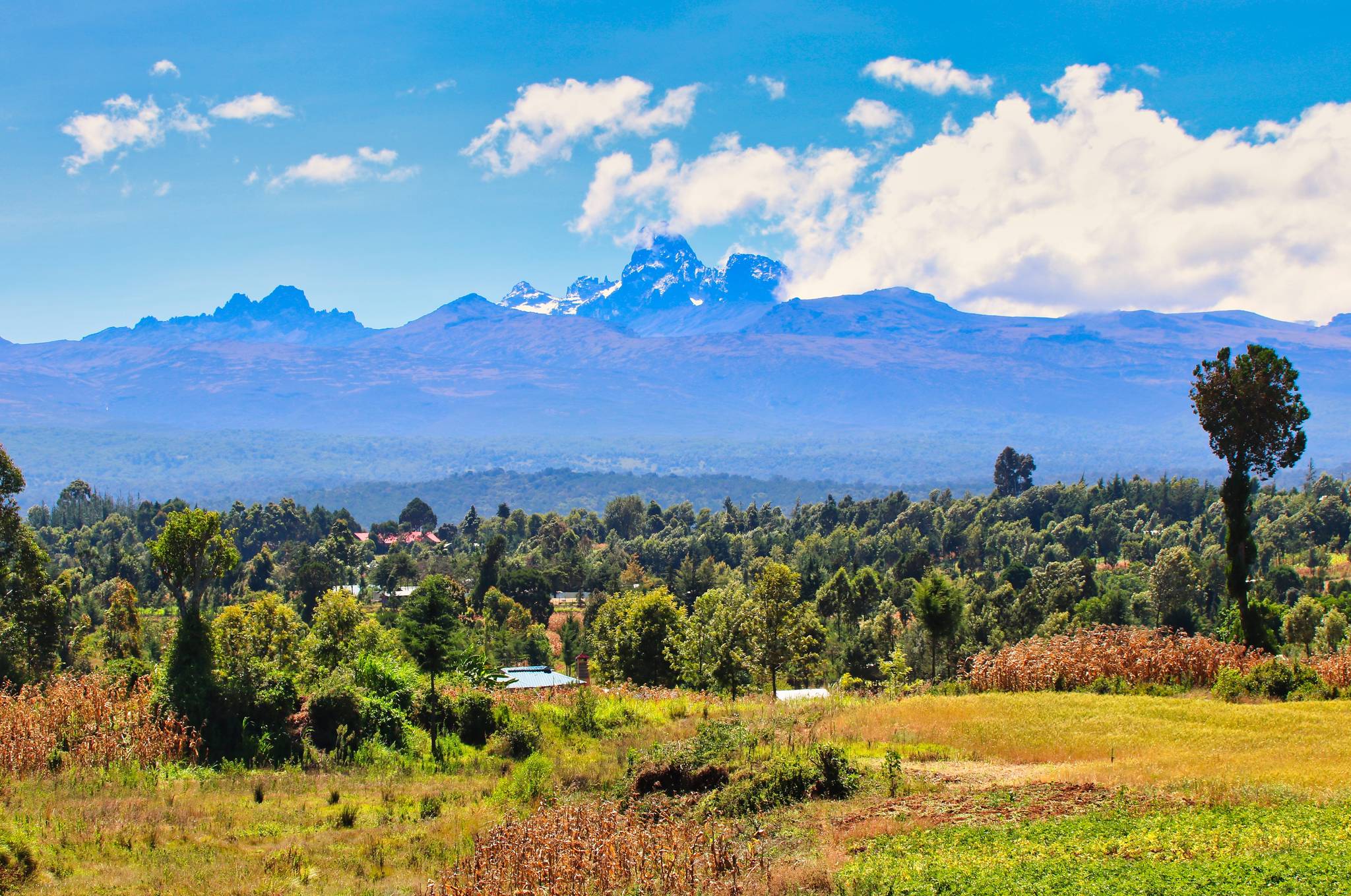 monte kenya