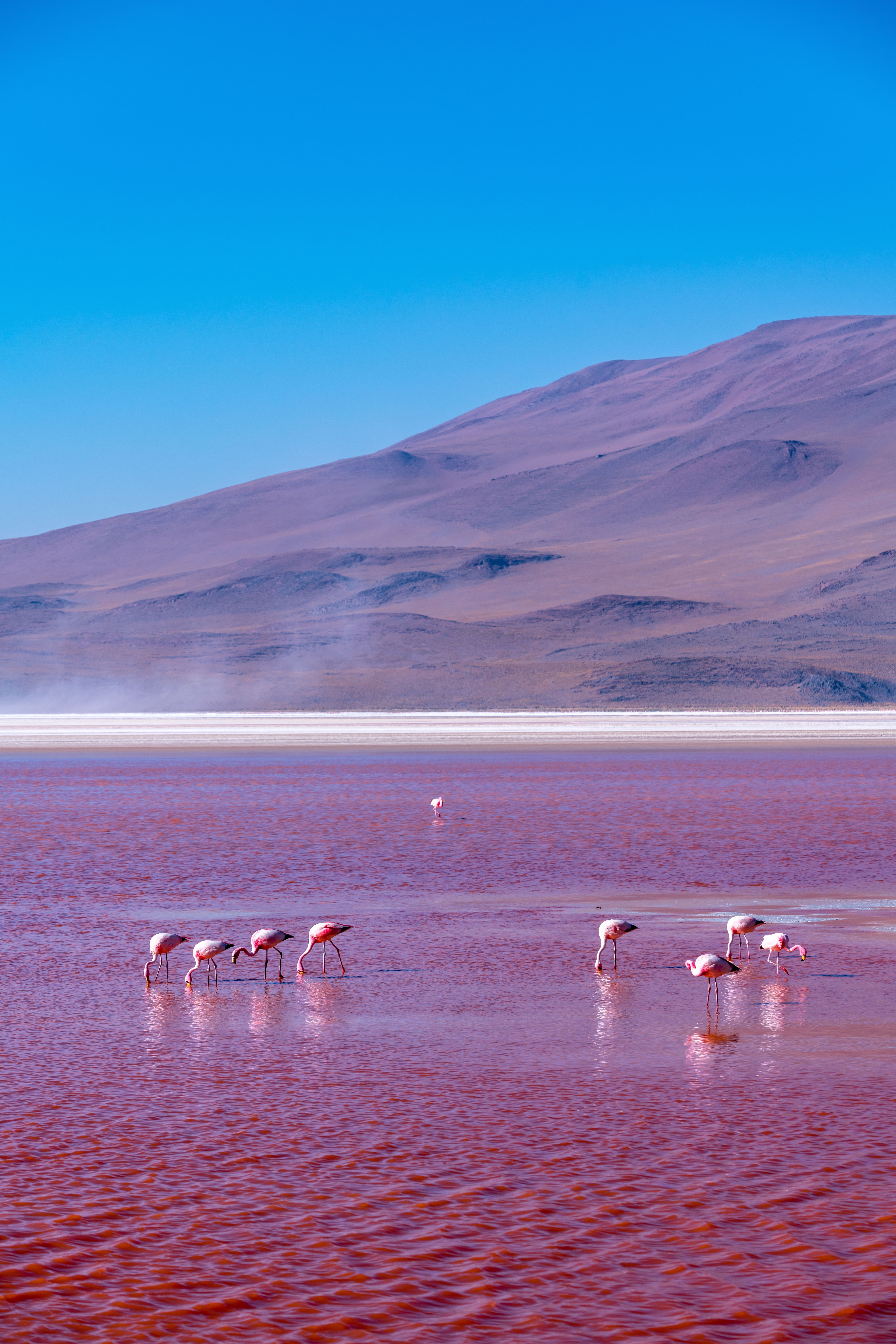 laguna colorata