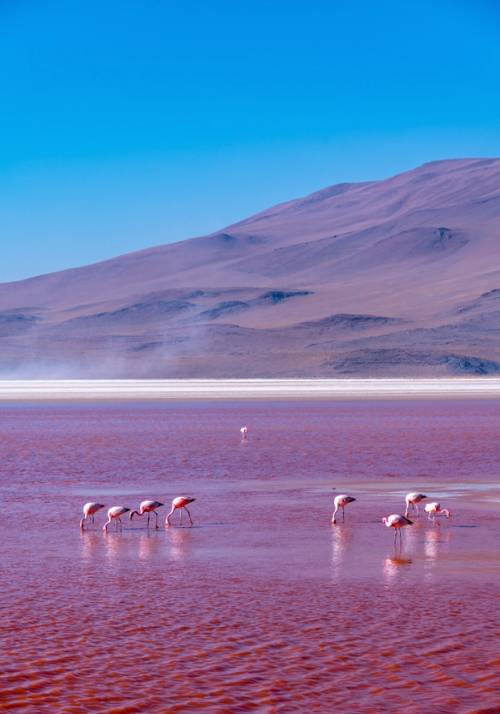 laguna colorata