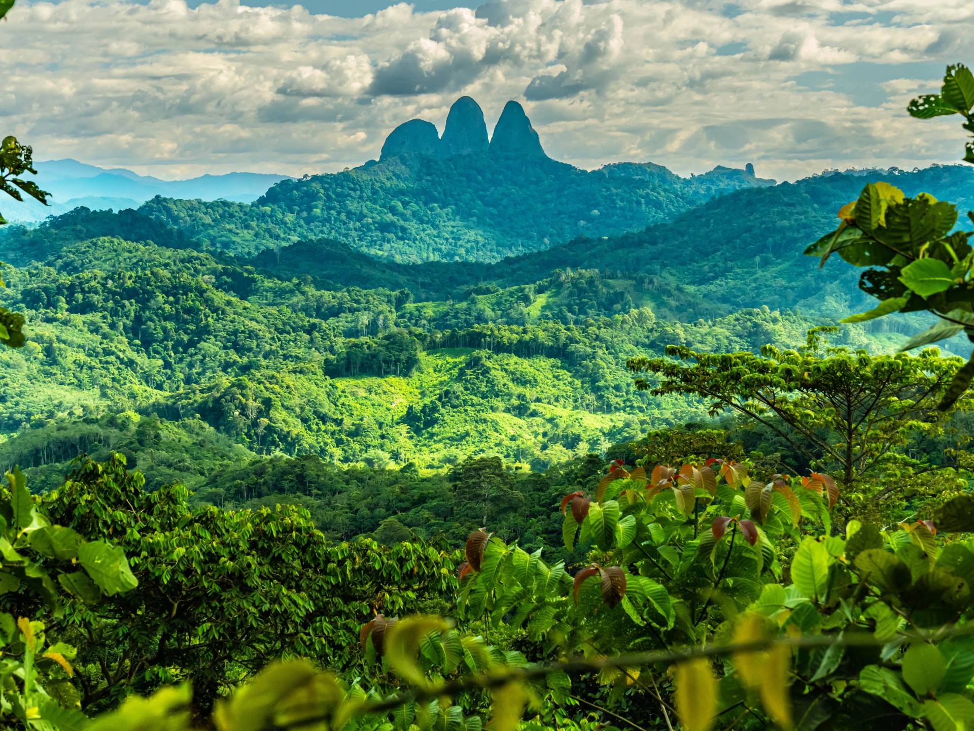 Nel Cuore del Borneo: tra giungla e fiumi cover