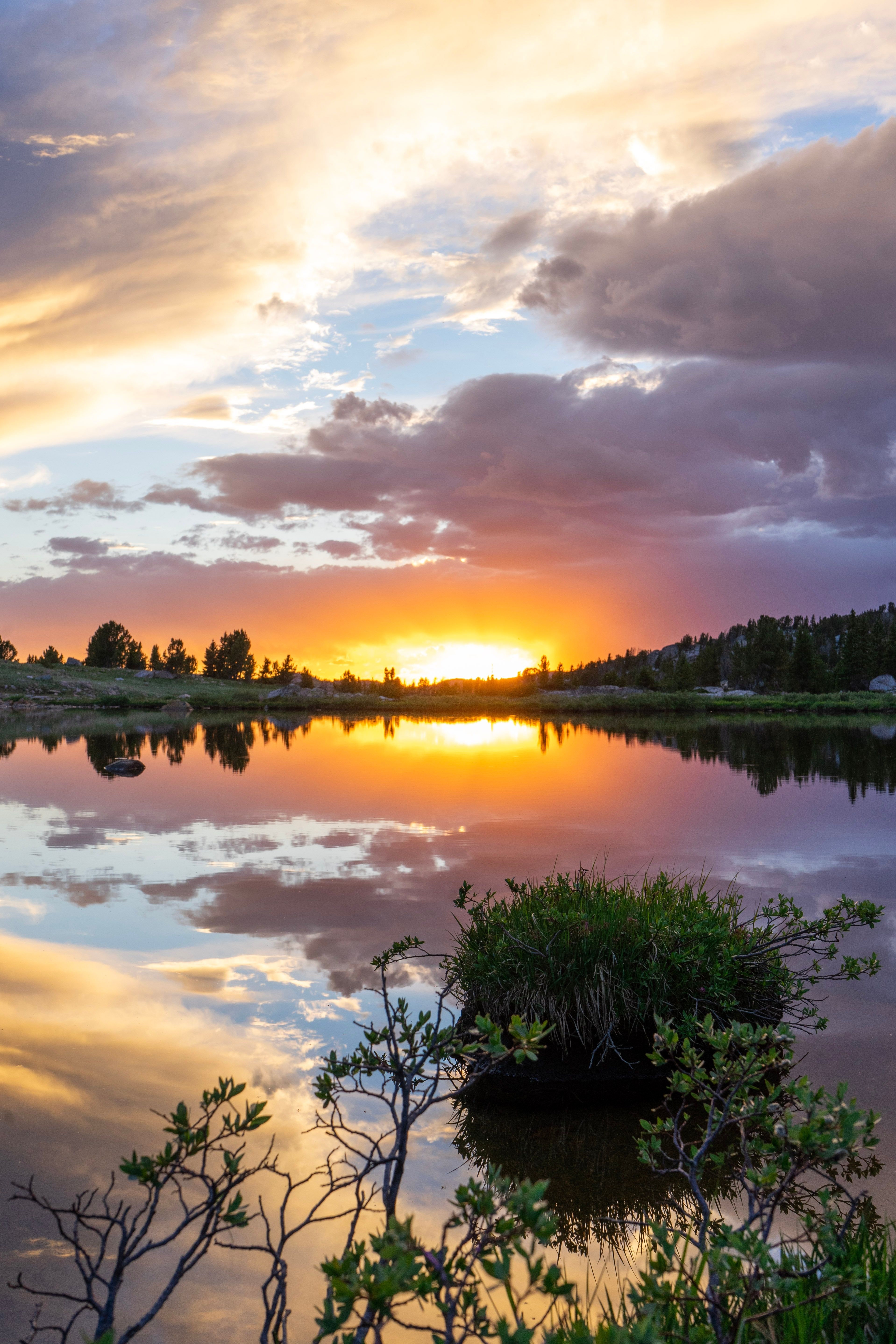 panorama del yellowstone nationl park