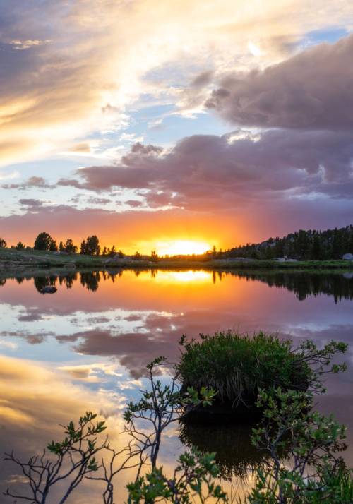 panorama del yellowstone nationl park