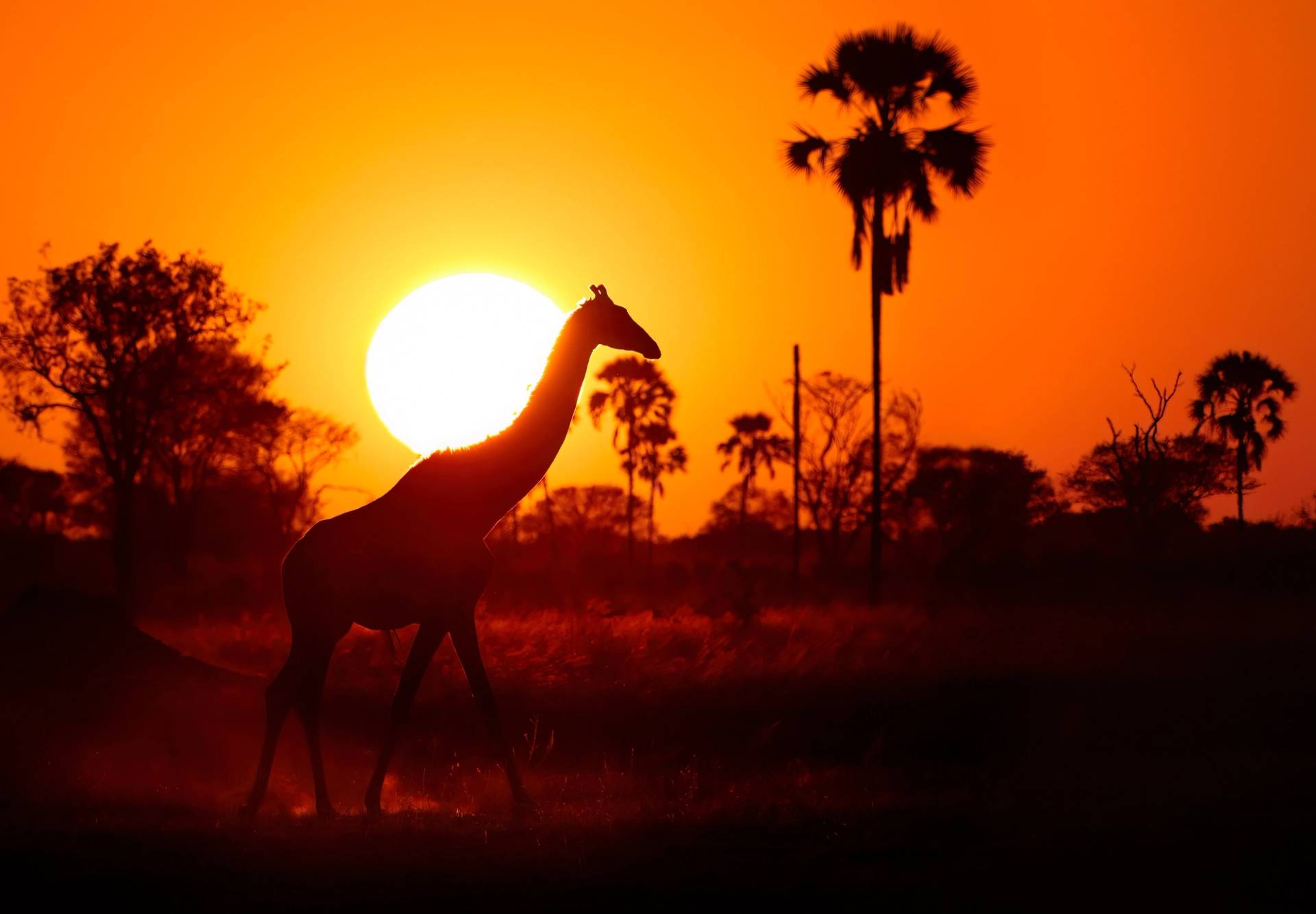 Hwange National Park
