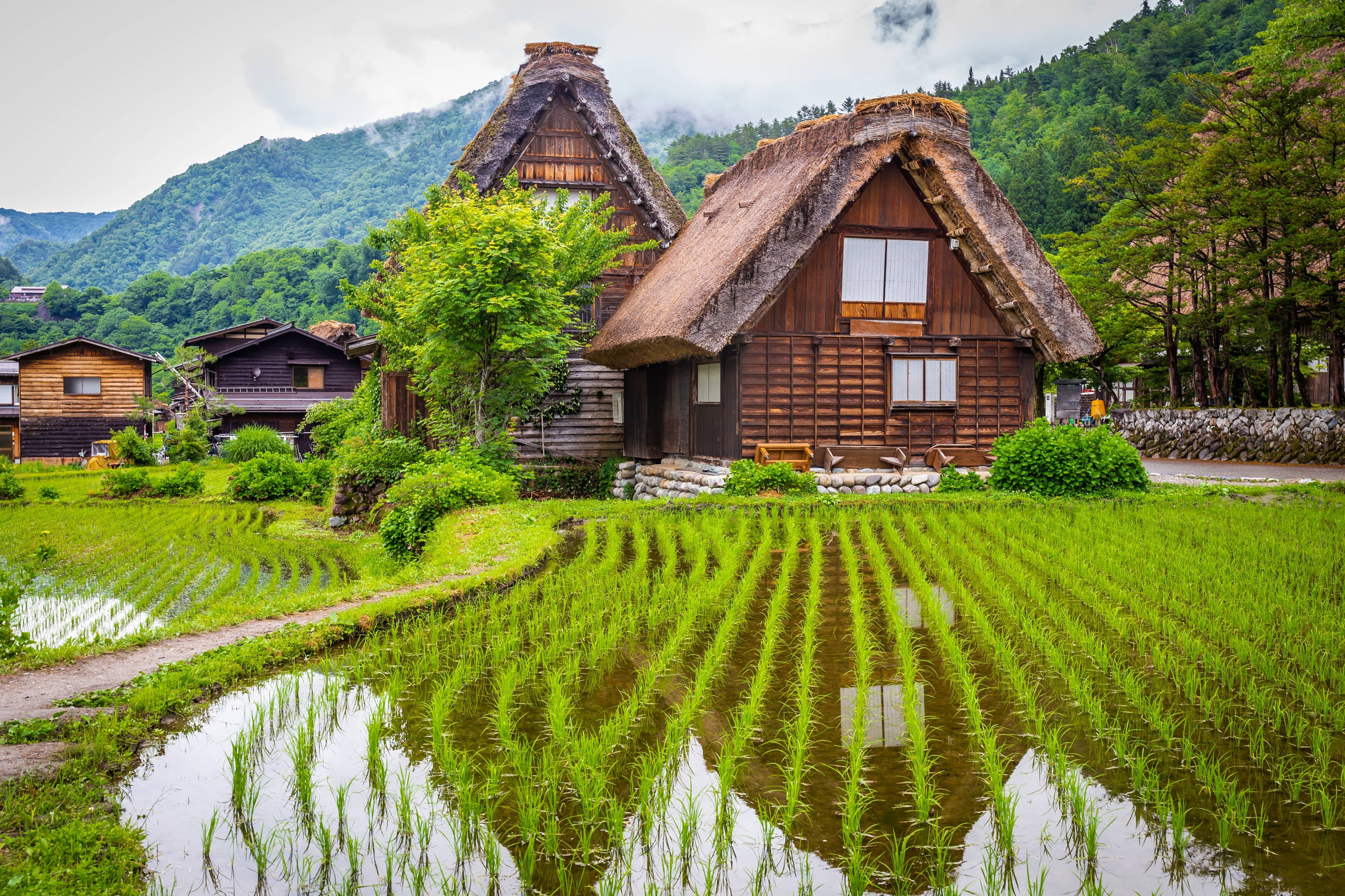 case tipiche giapponesi