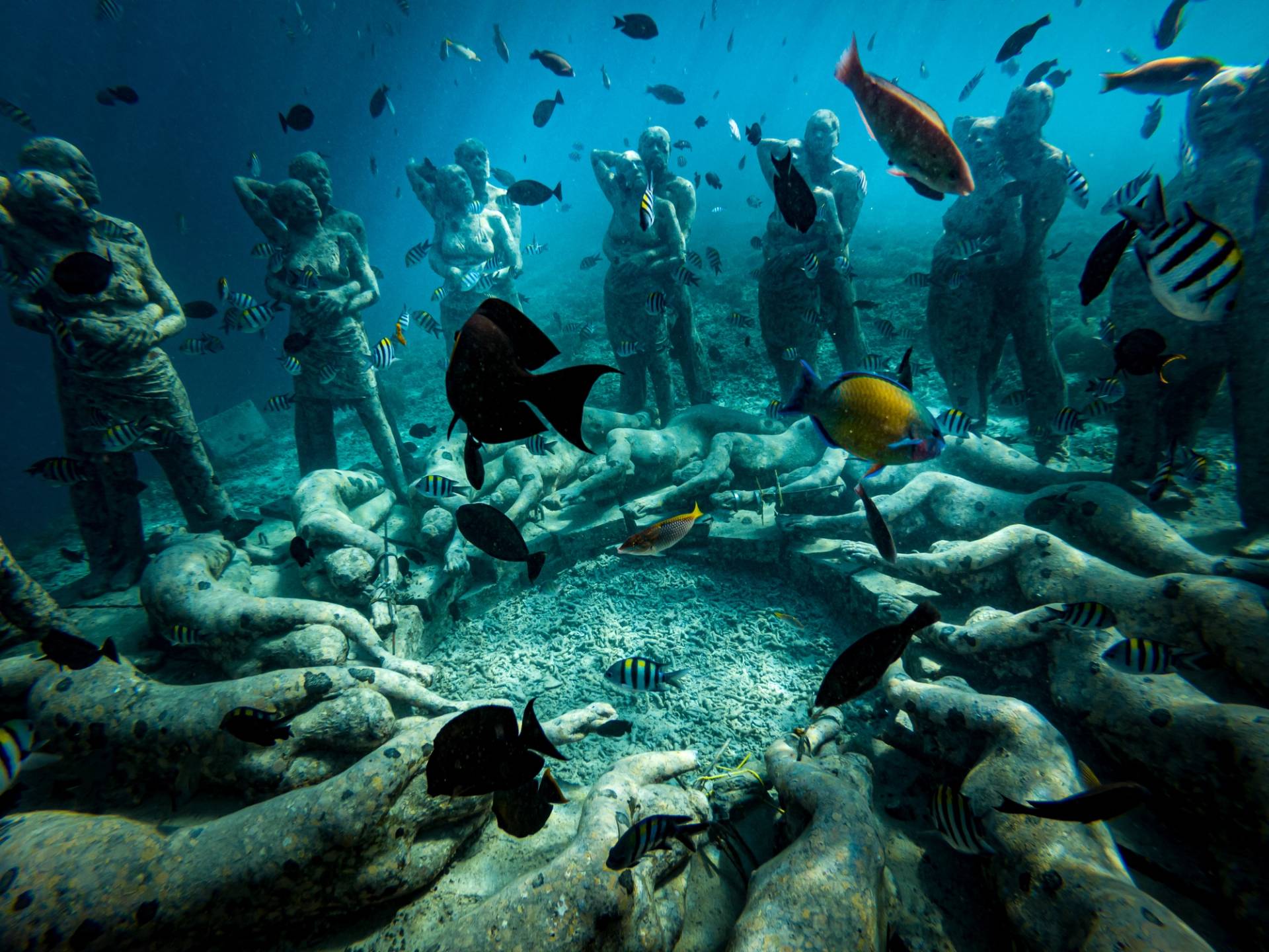 isole gili