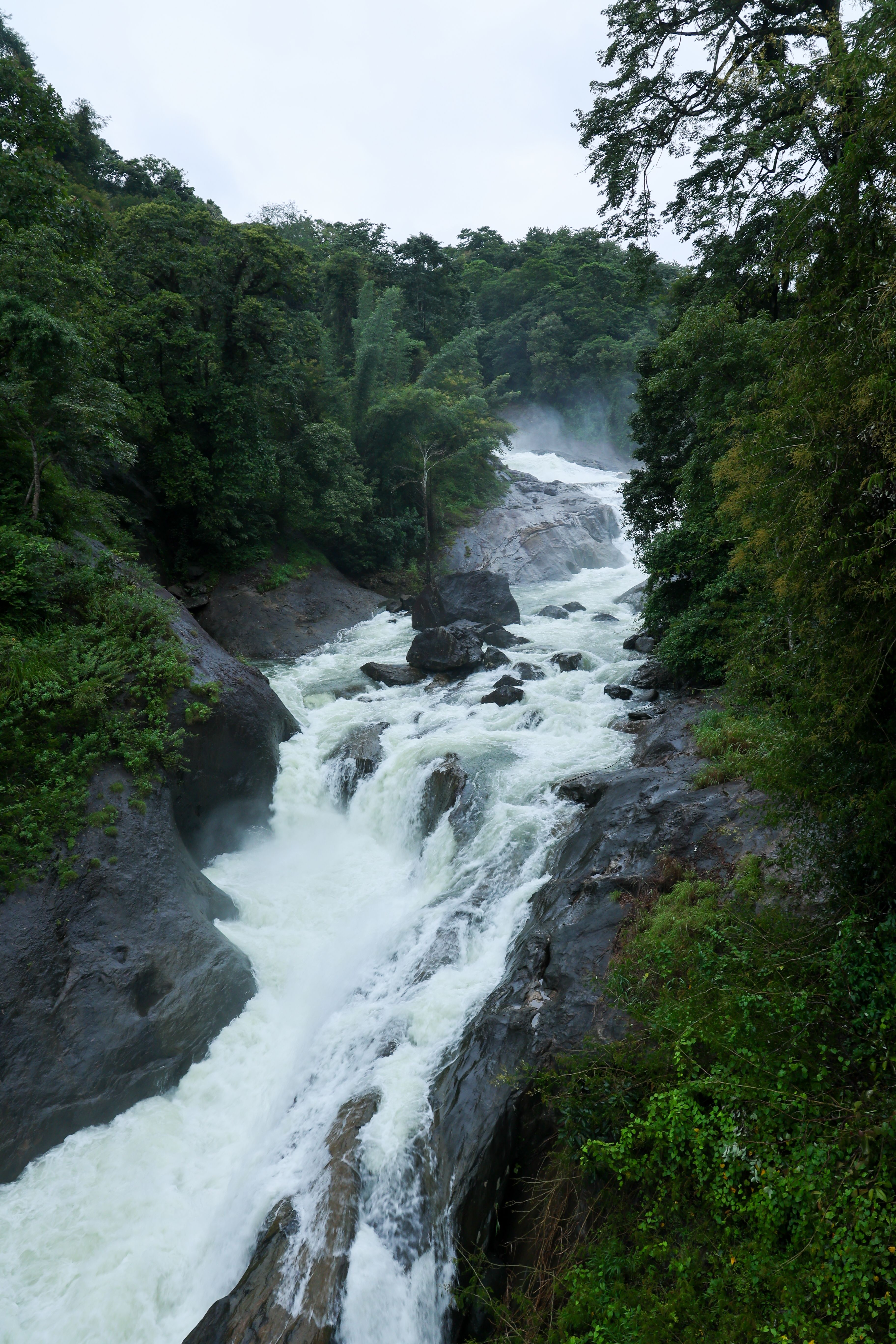 cascate a periyar