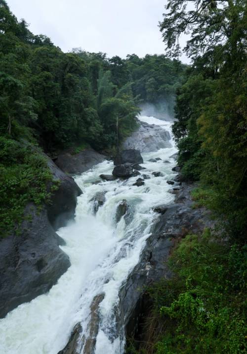 cascate a periyar