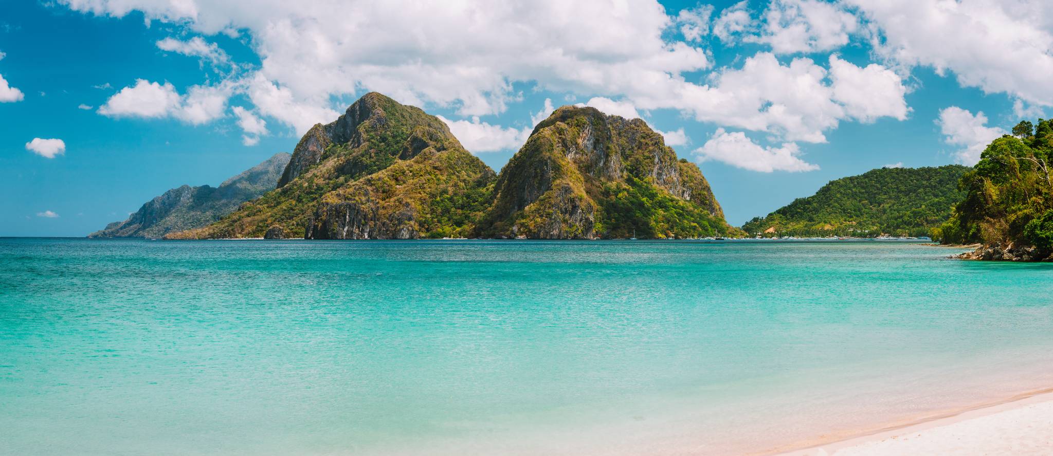 el nido