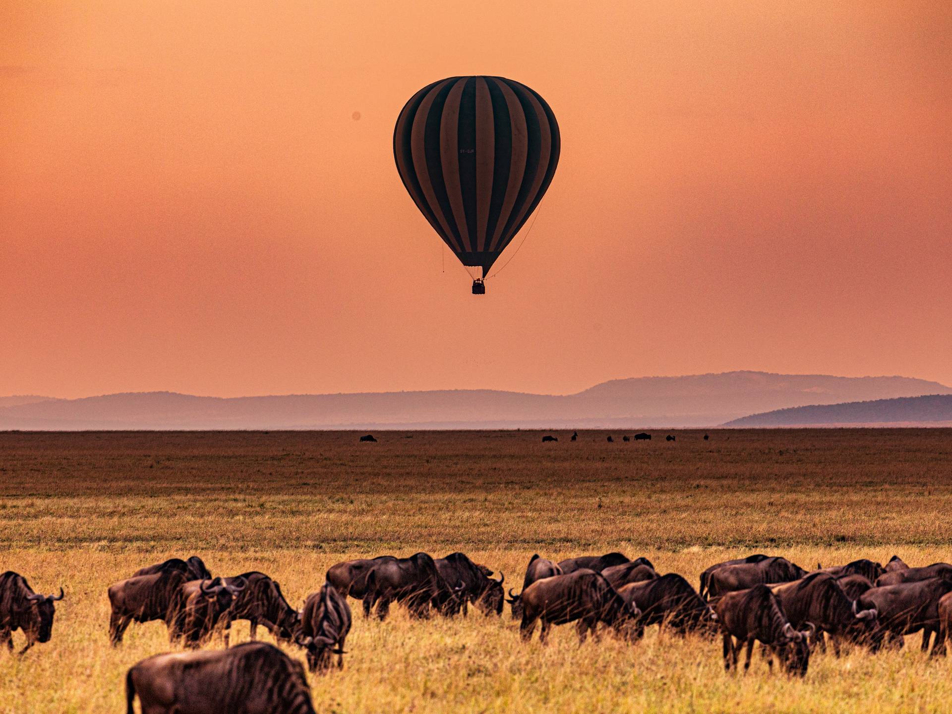 Tour in Kenya and Tanzania cover