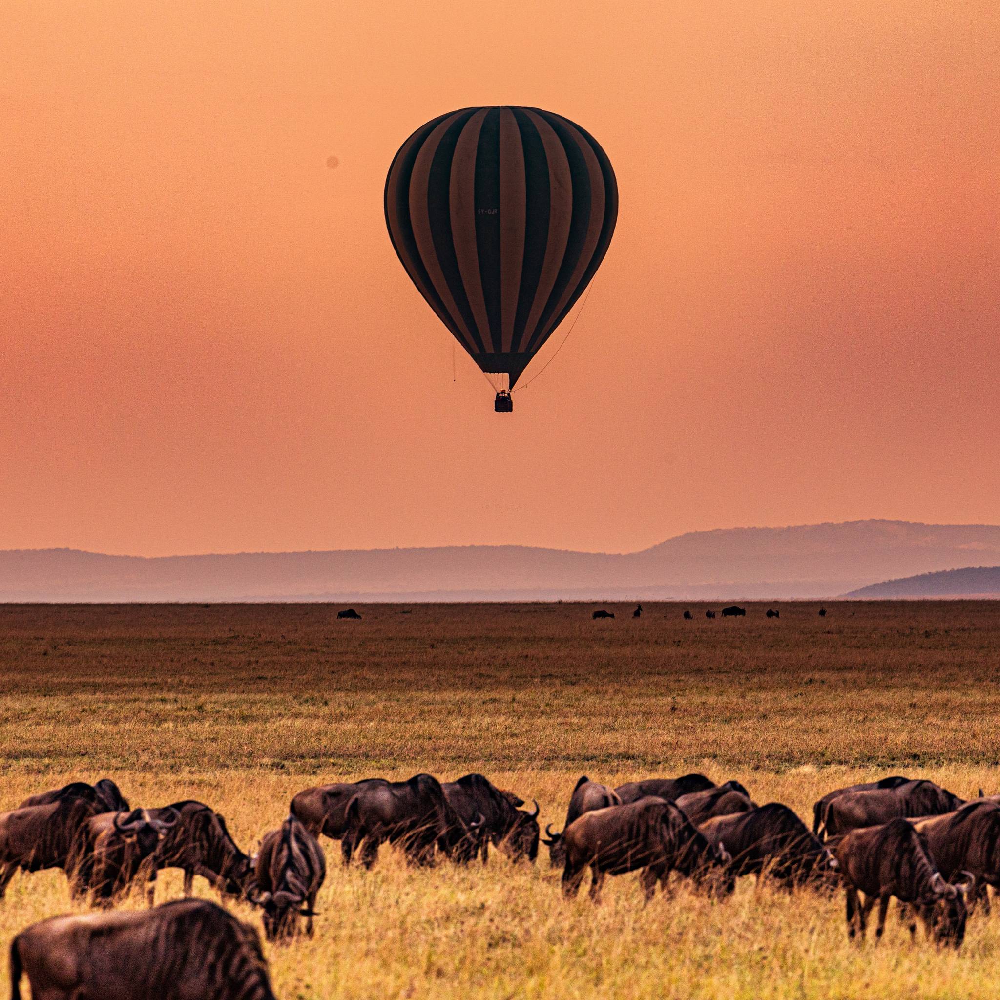 Tour in Kenya e Tanzania