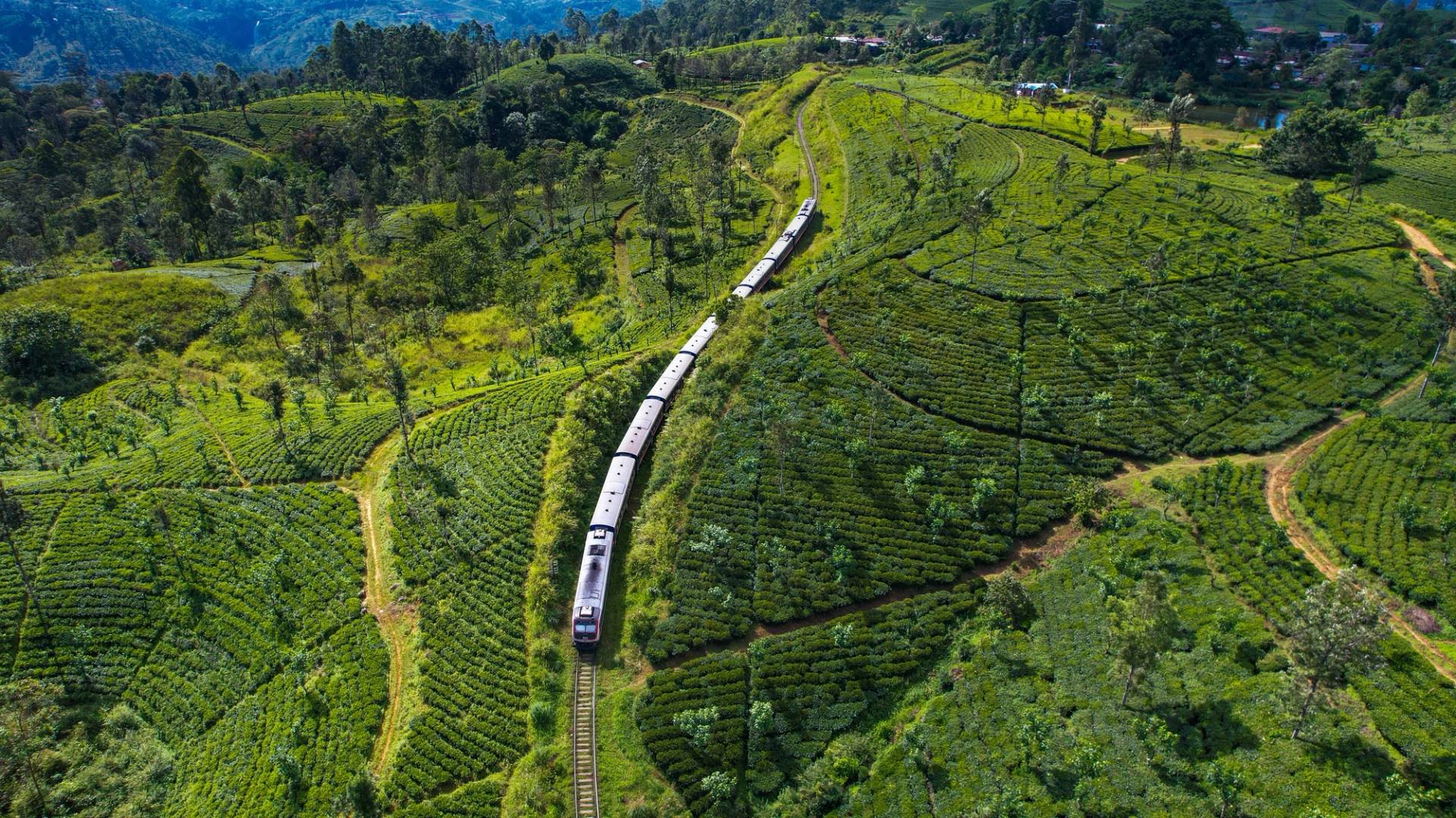 train to ella