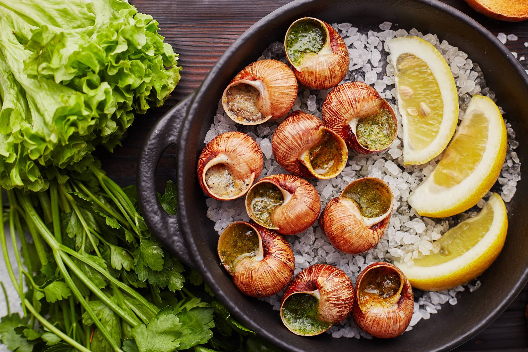 escargots de bourgogne