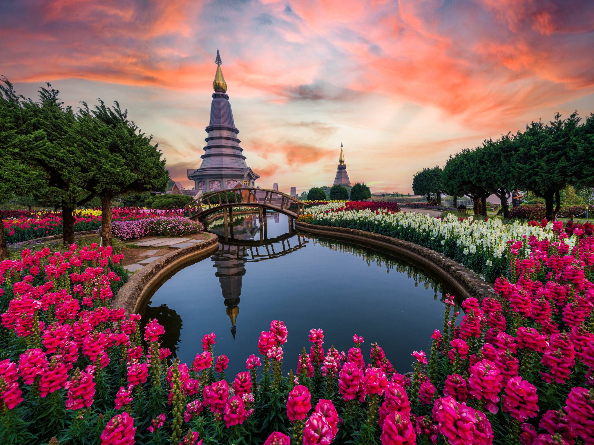 Tour da Bangkok a Chiang Mai cover