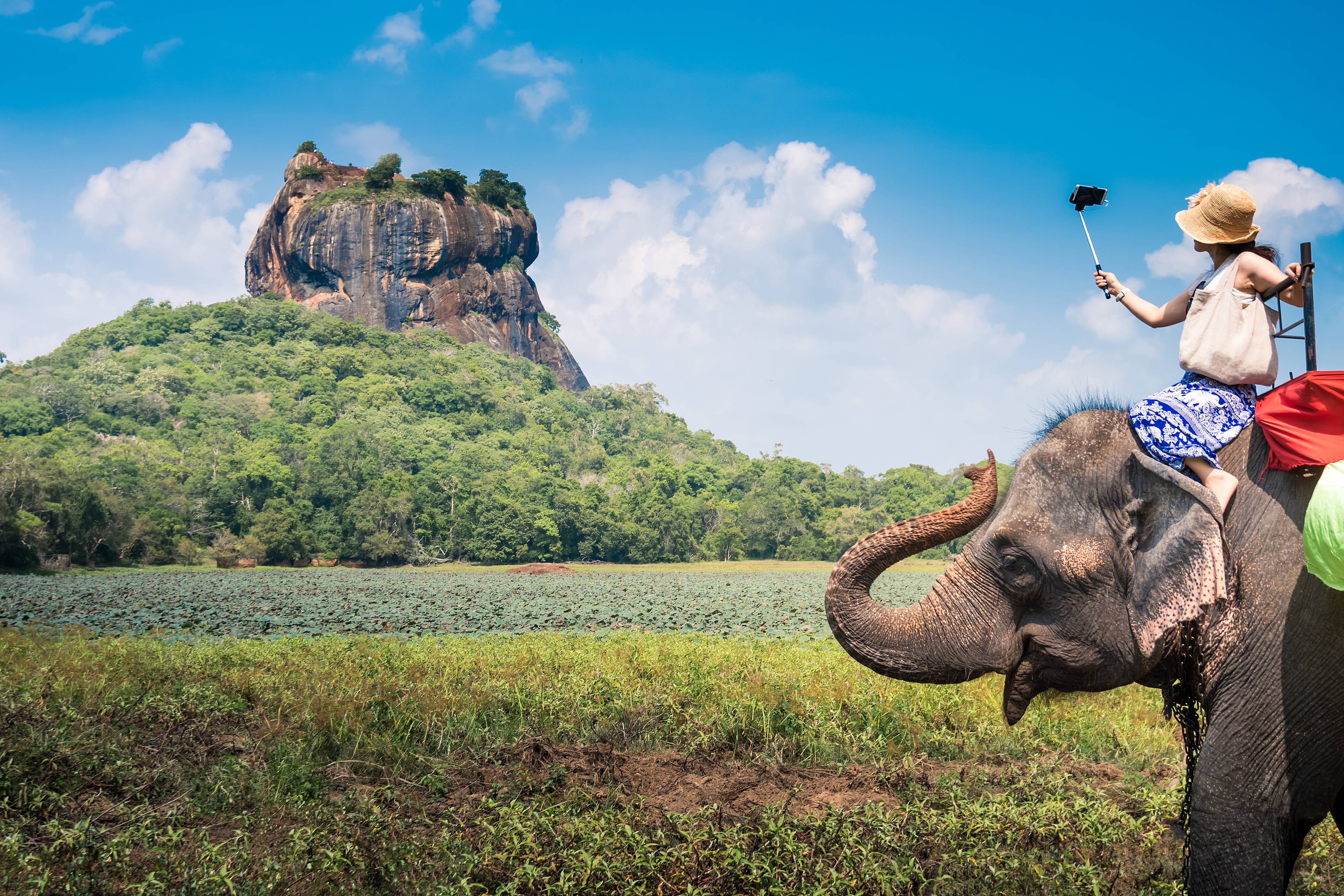 elefanti a habarana 