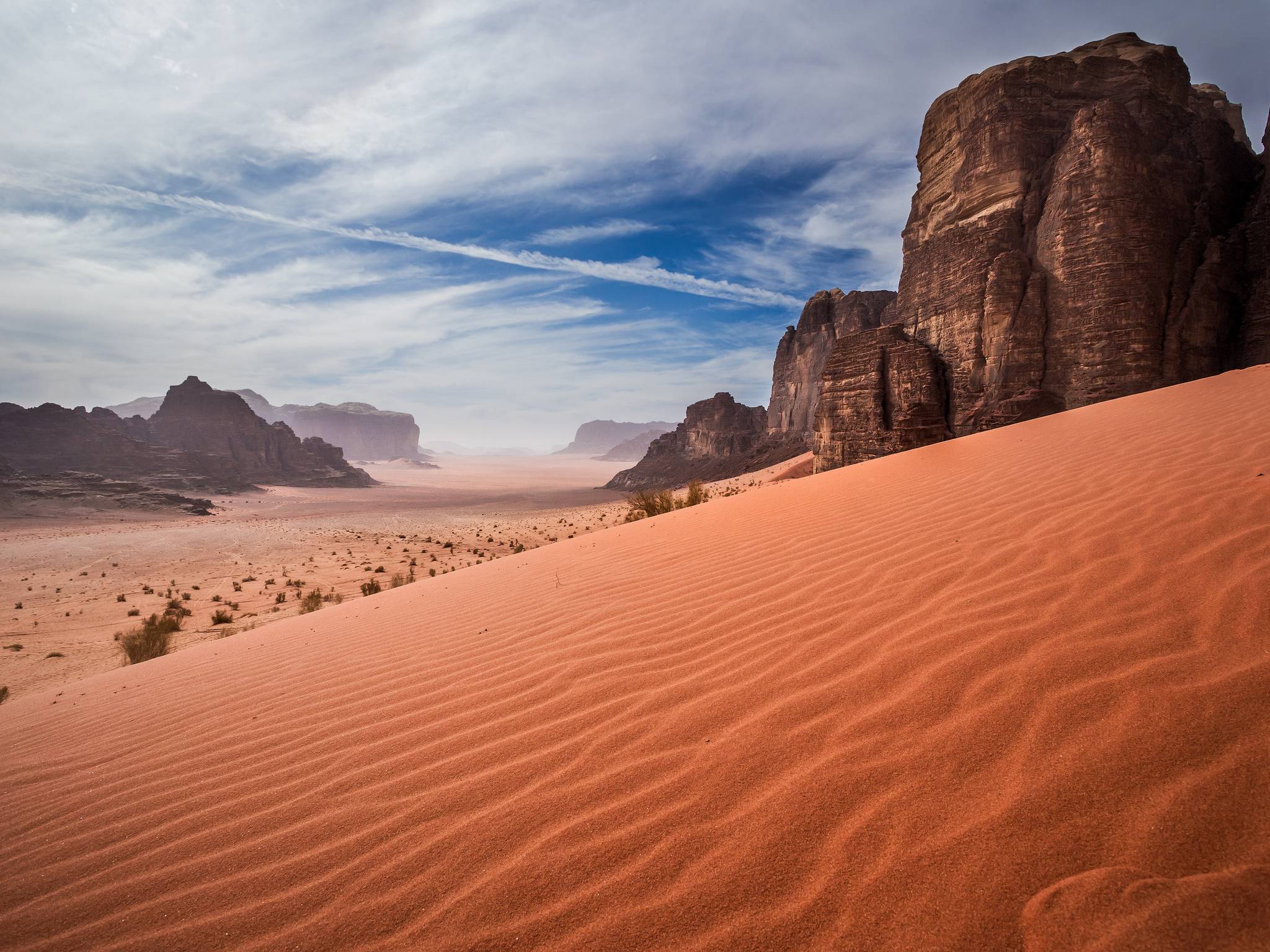 Stupori nel deserto cover