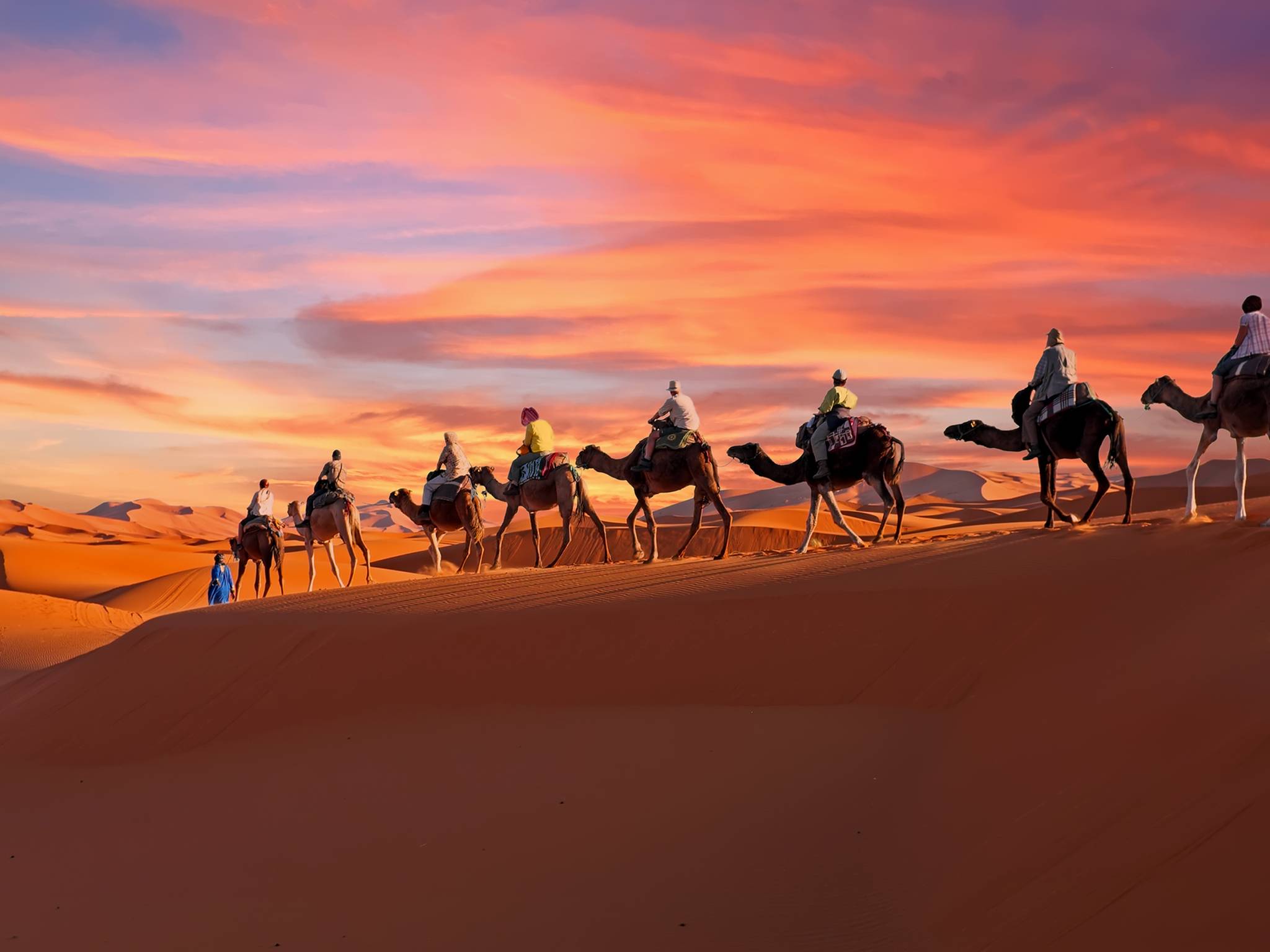 Tour of magical Morocco cover