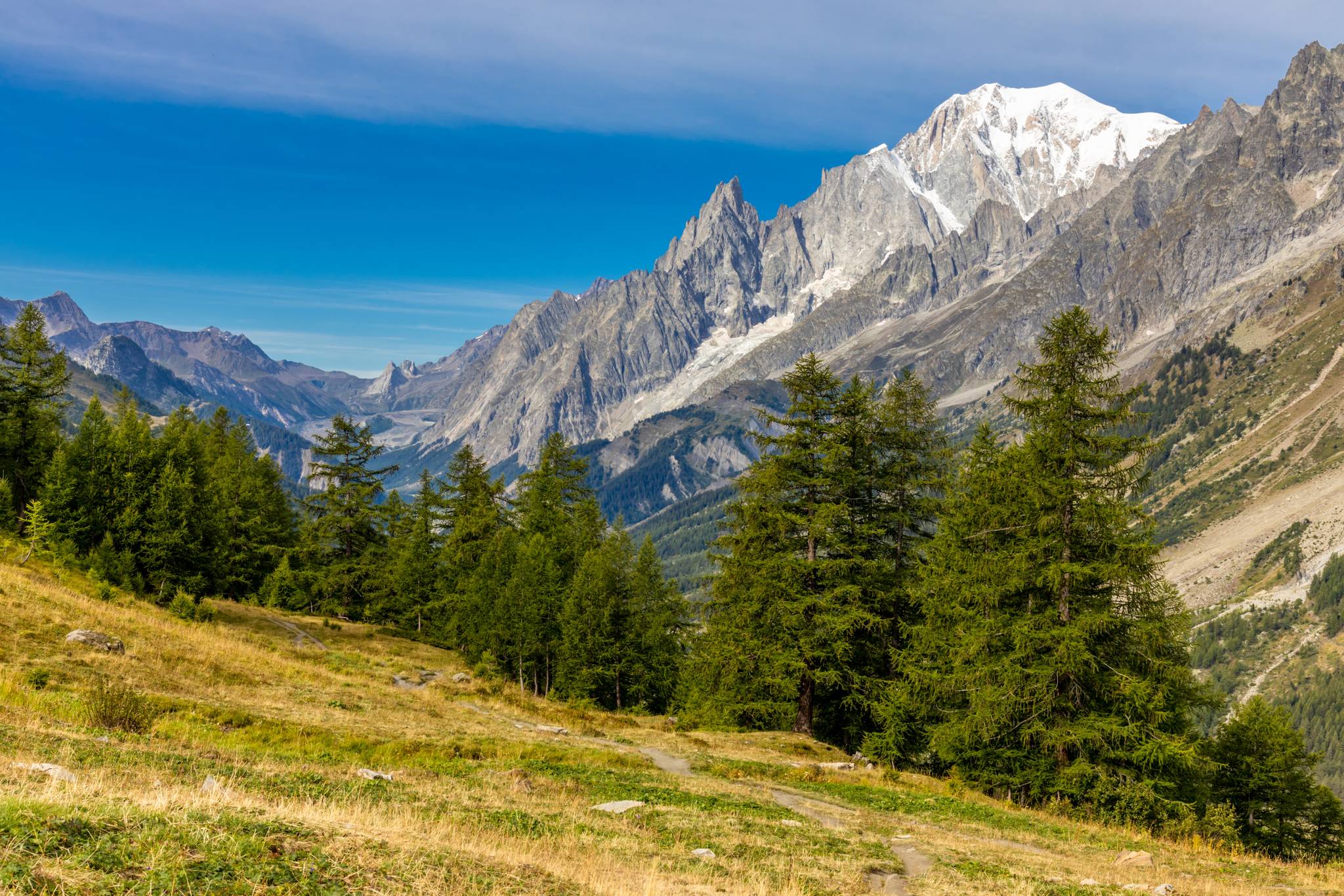 val ferret