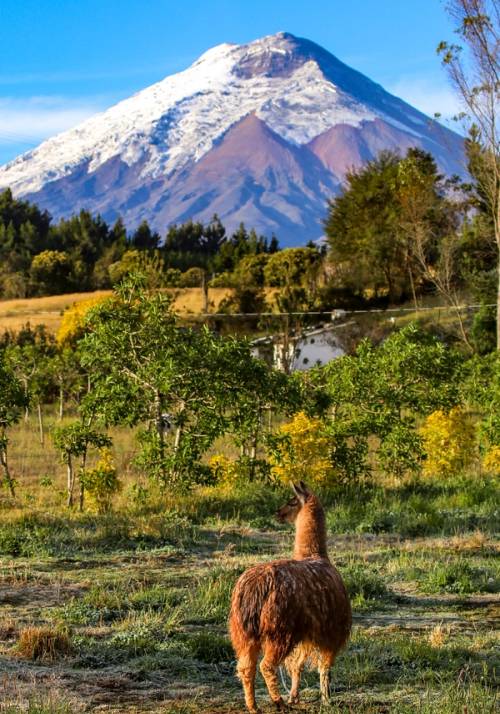 cotopaxi