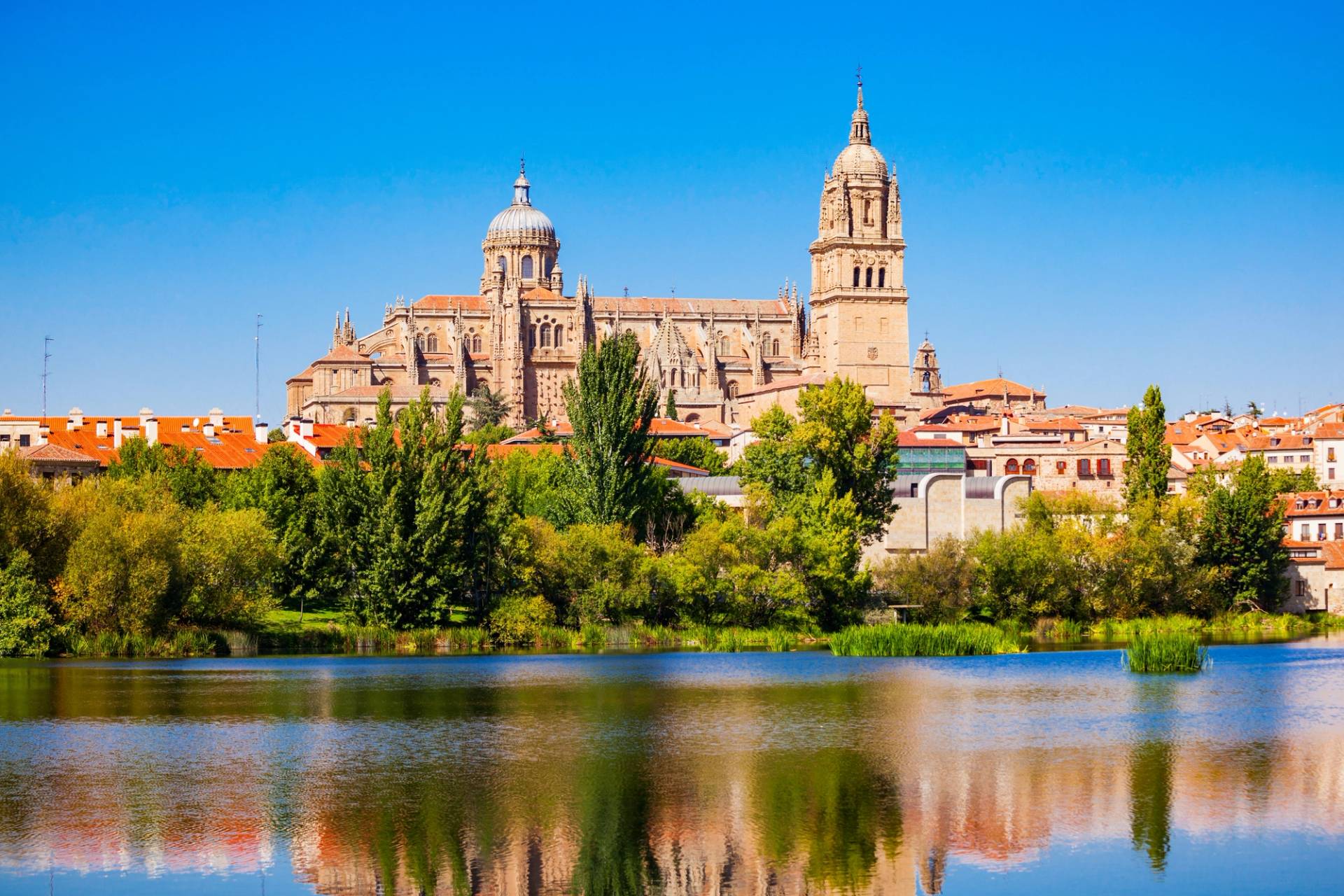 Salamanca Cathedral