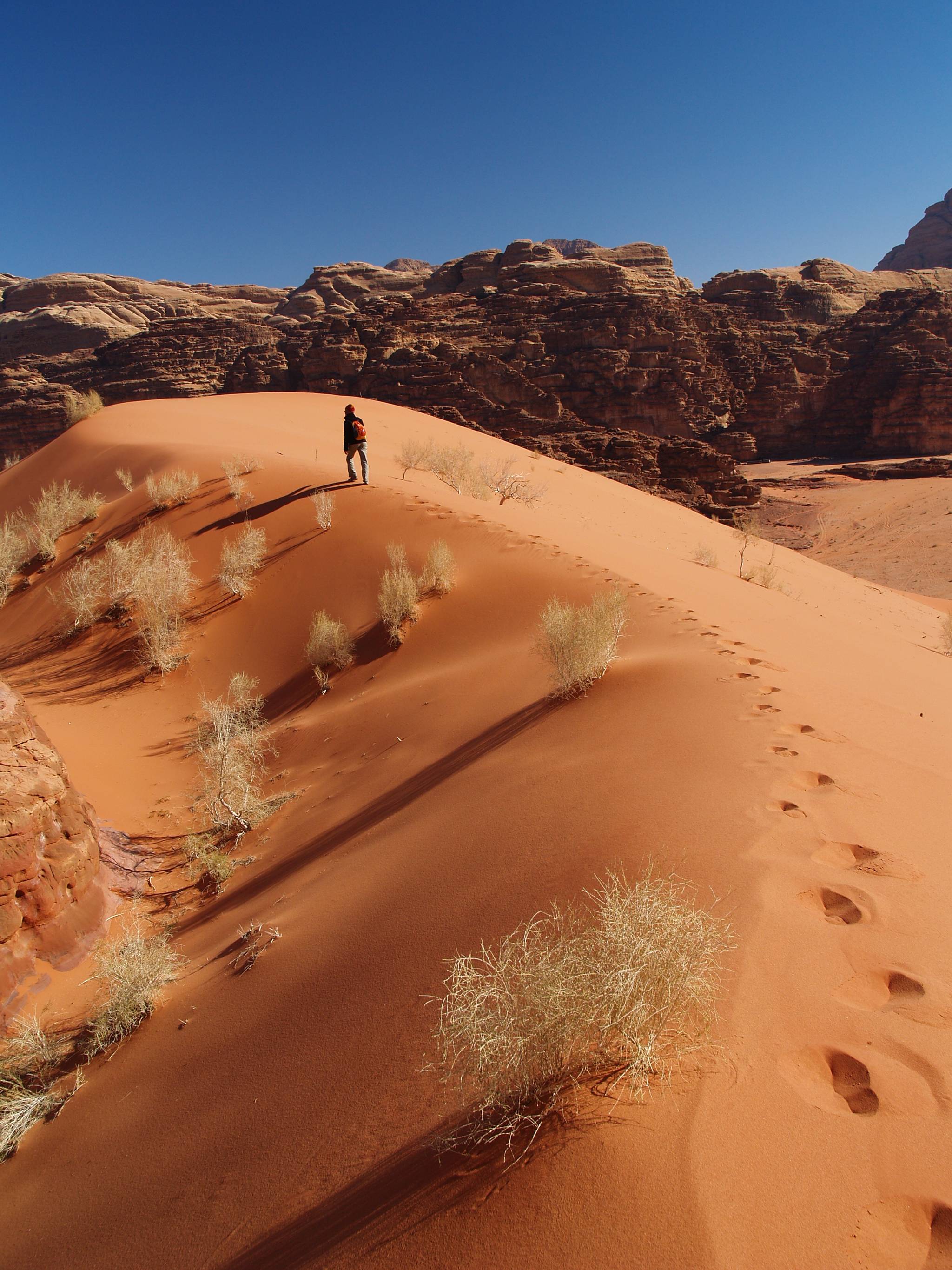 wadi rum