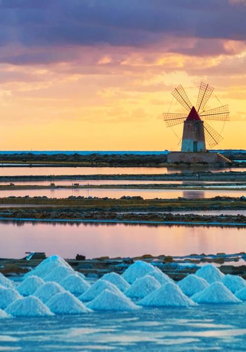 salt camp marsala