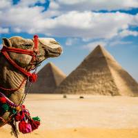 Gran tour dell'Egitto